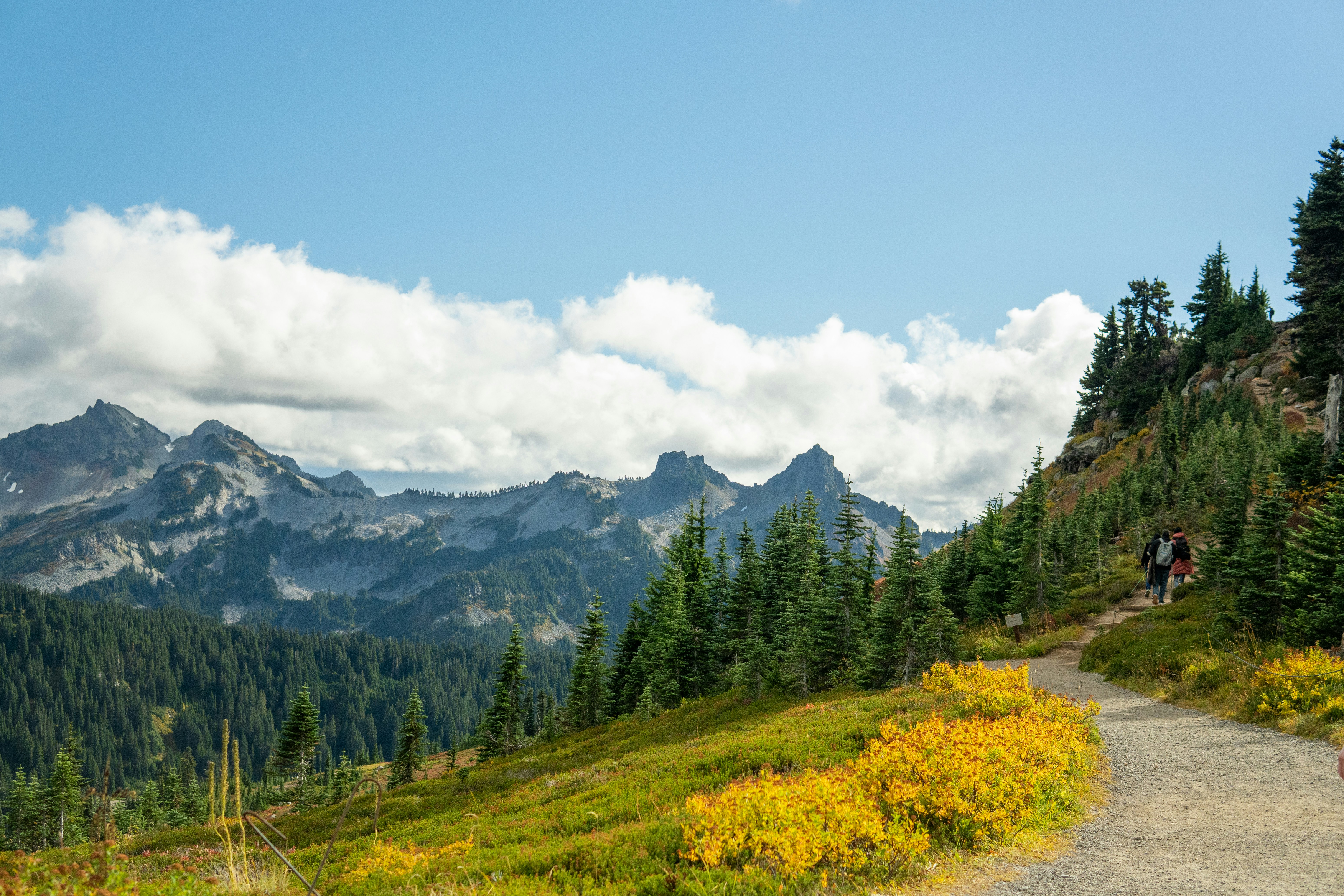 Photo by daniel_akserlod