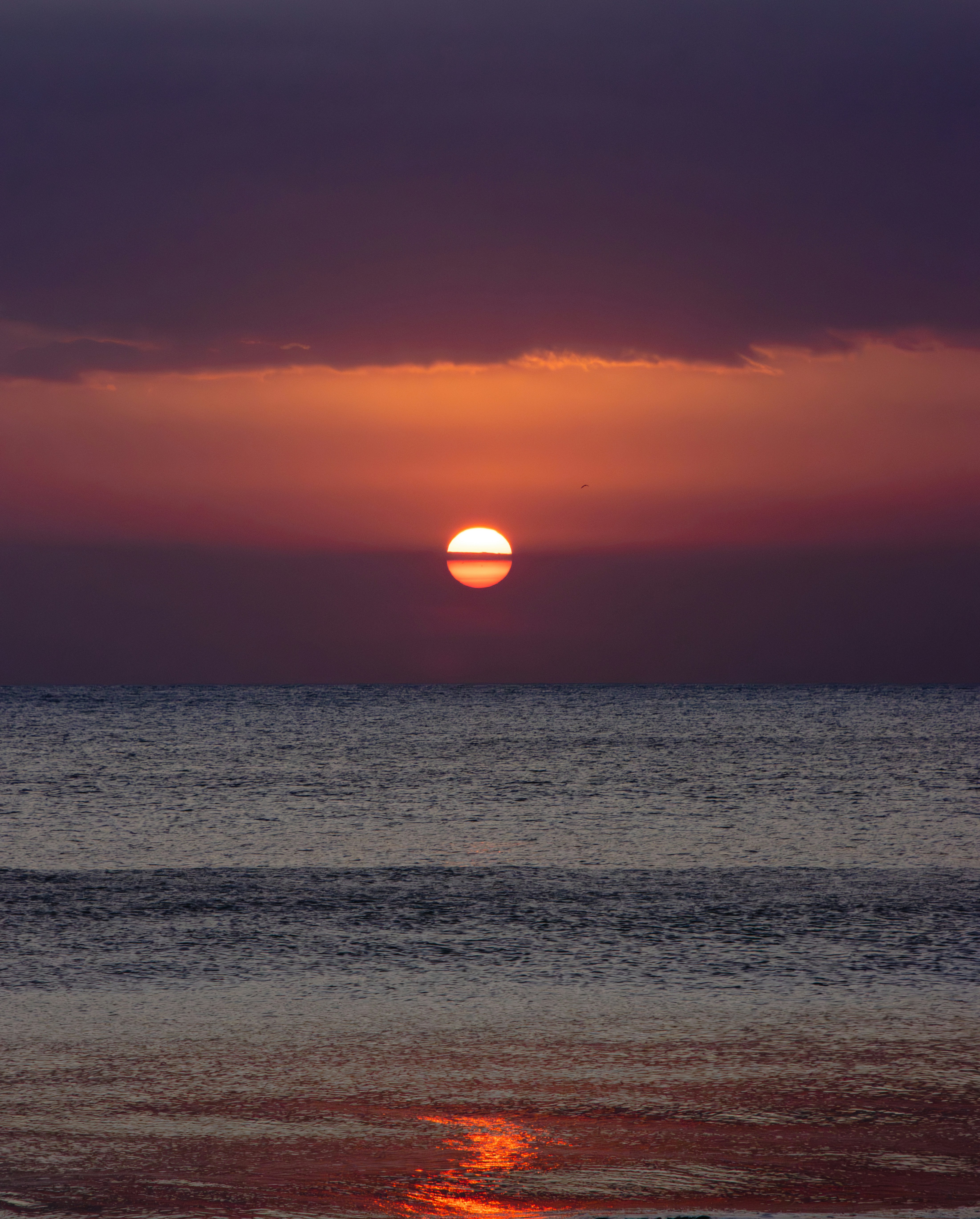 Photo by roberthsu1054