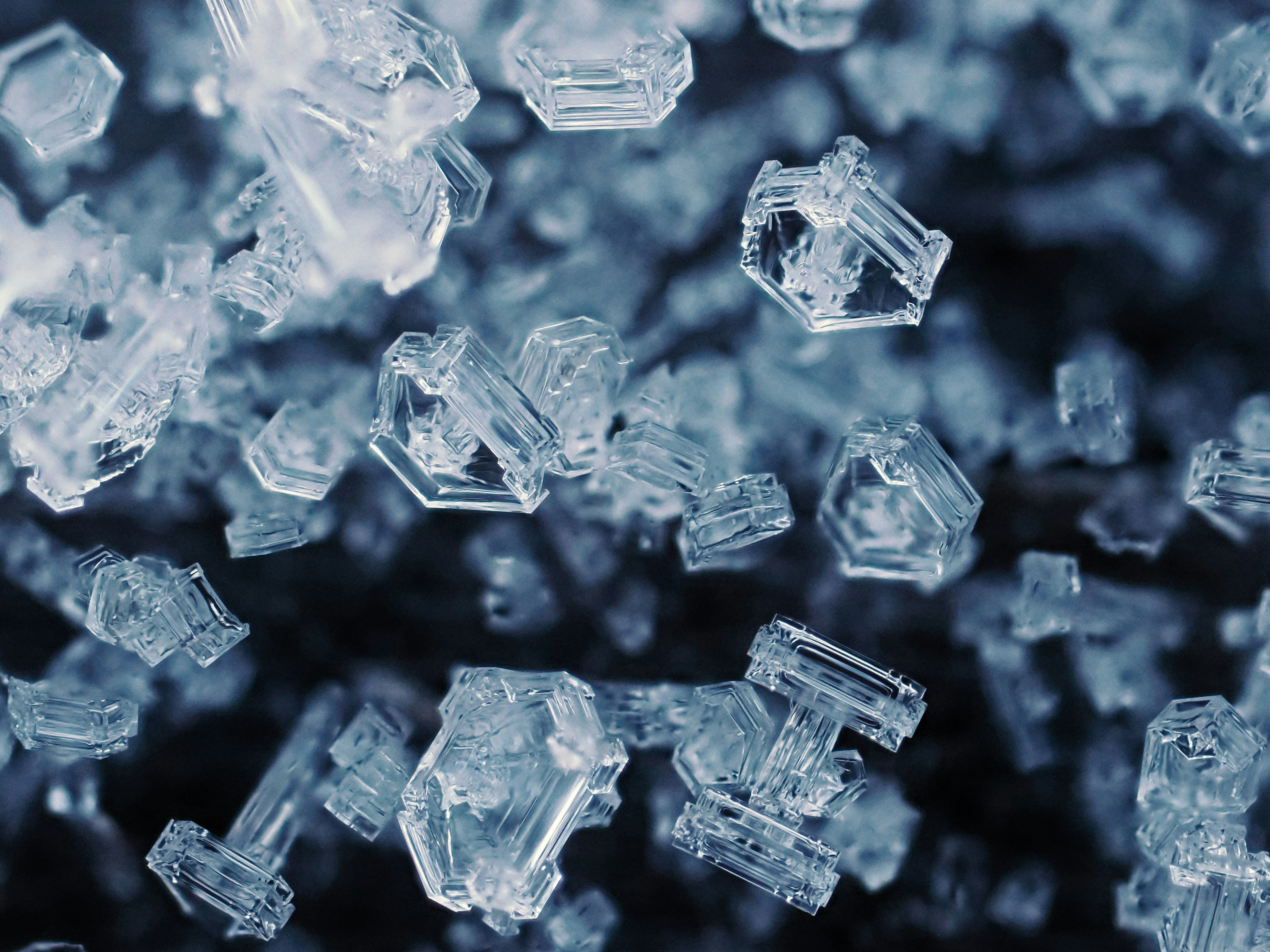 Photo by illes_cristi