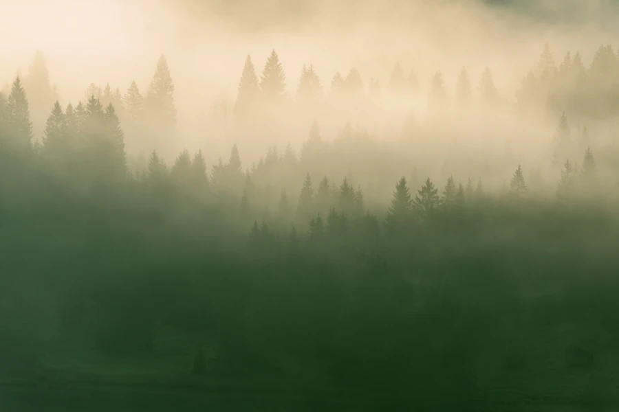Nootropics for Menopause Brain Fog: The UK Evidence-Based Guide