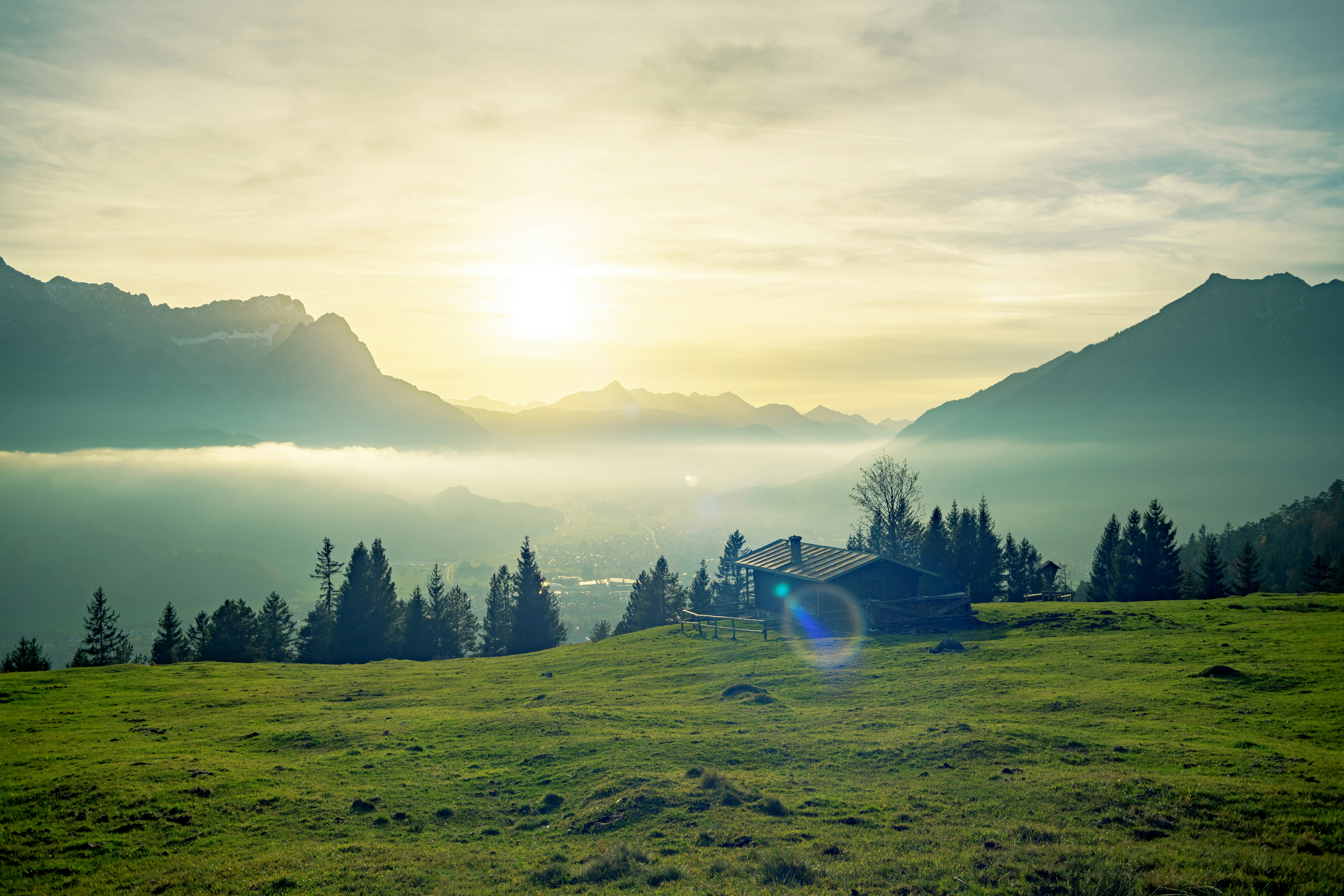 Photo by picture_scape