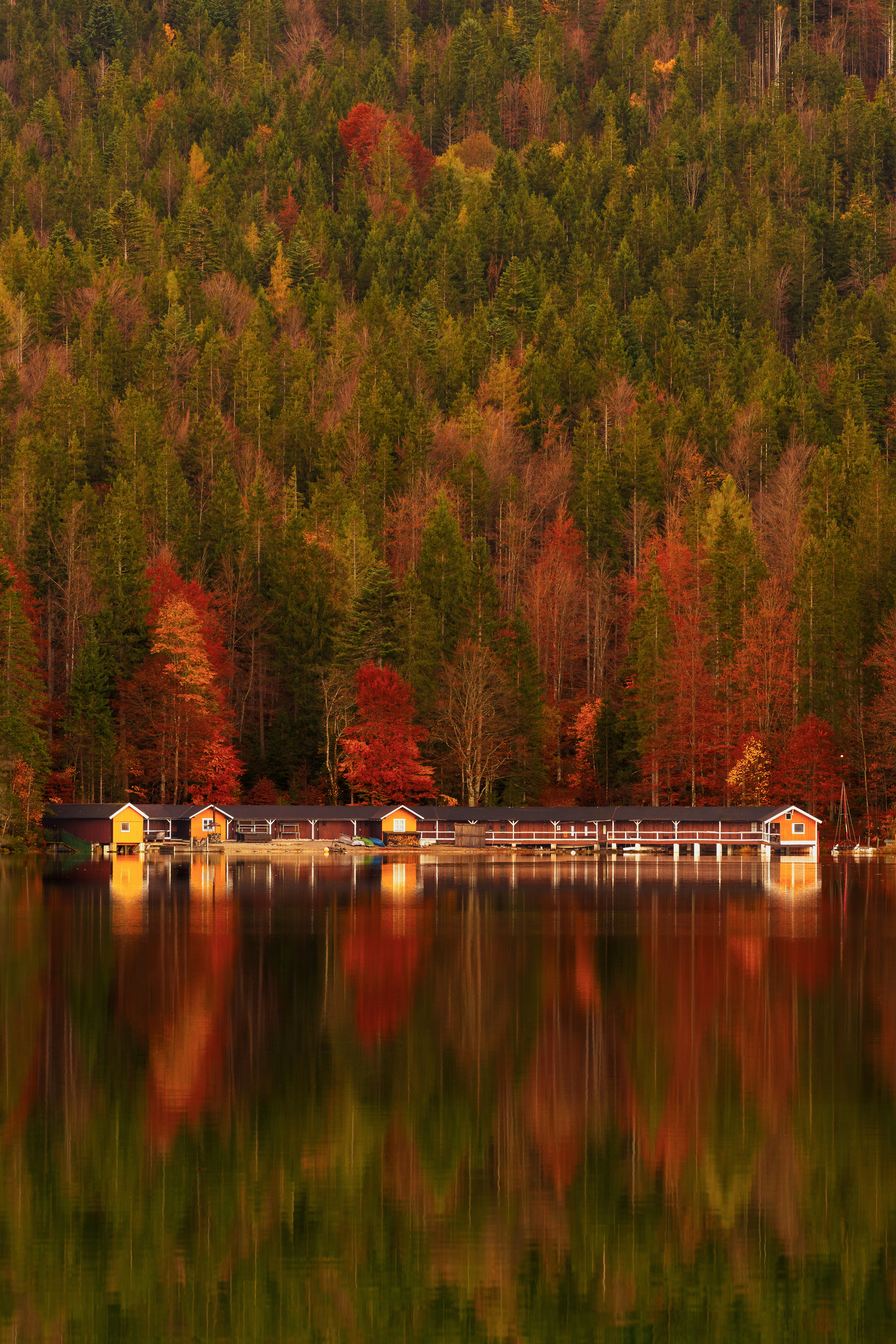 Photo by picture_scape