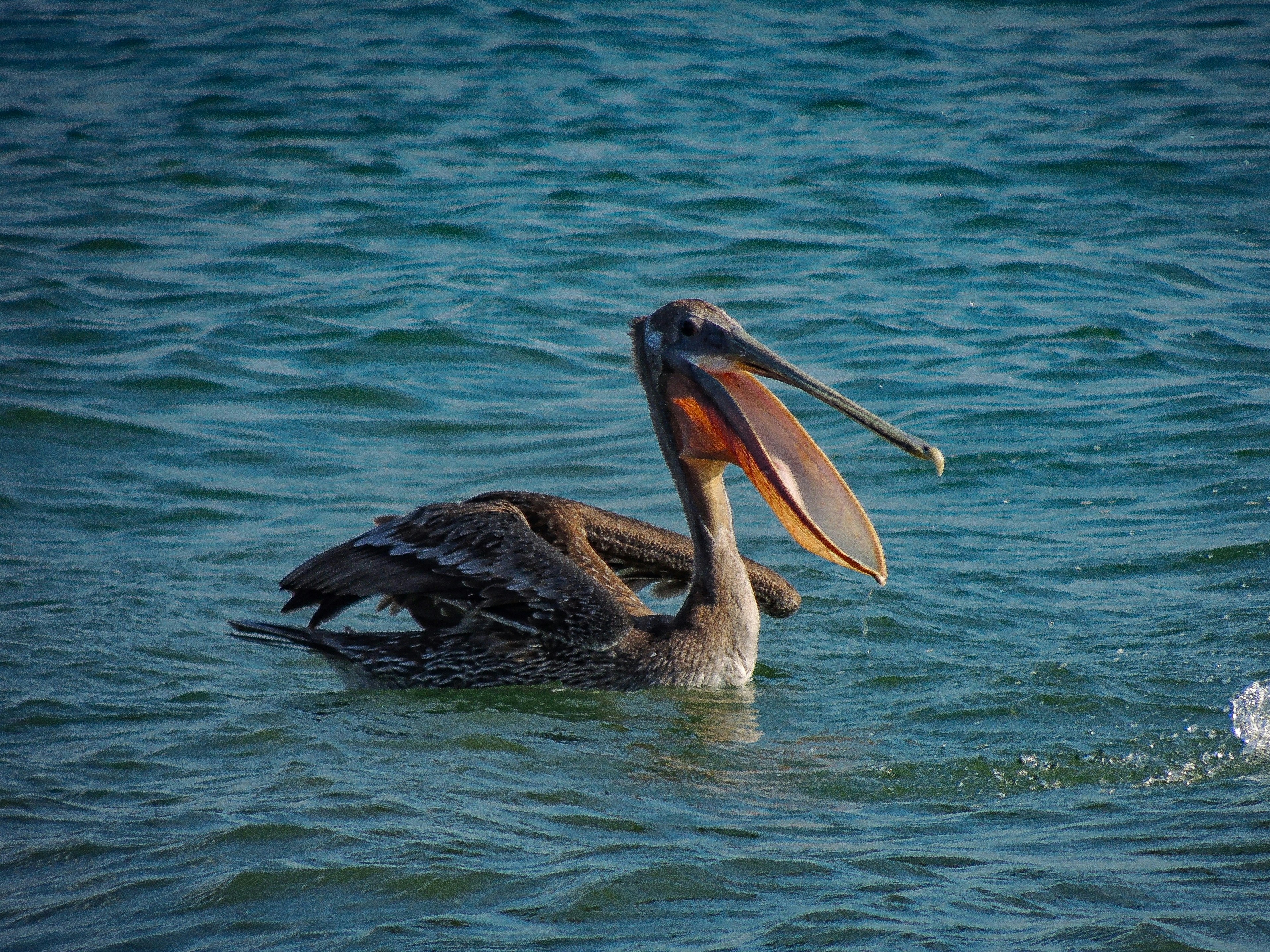 Photo by phlucero_17