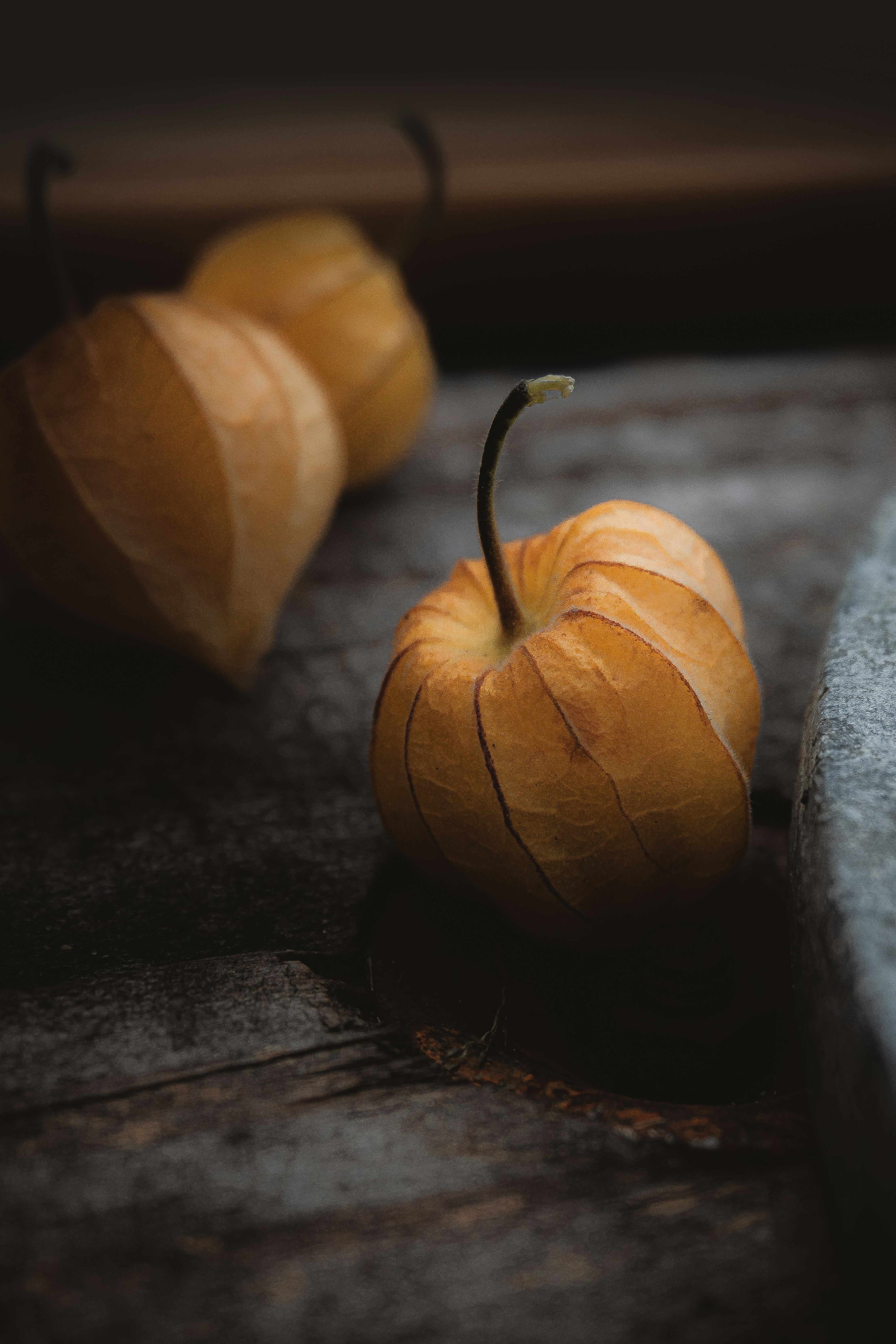 Photo by andreicastanha