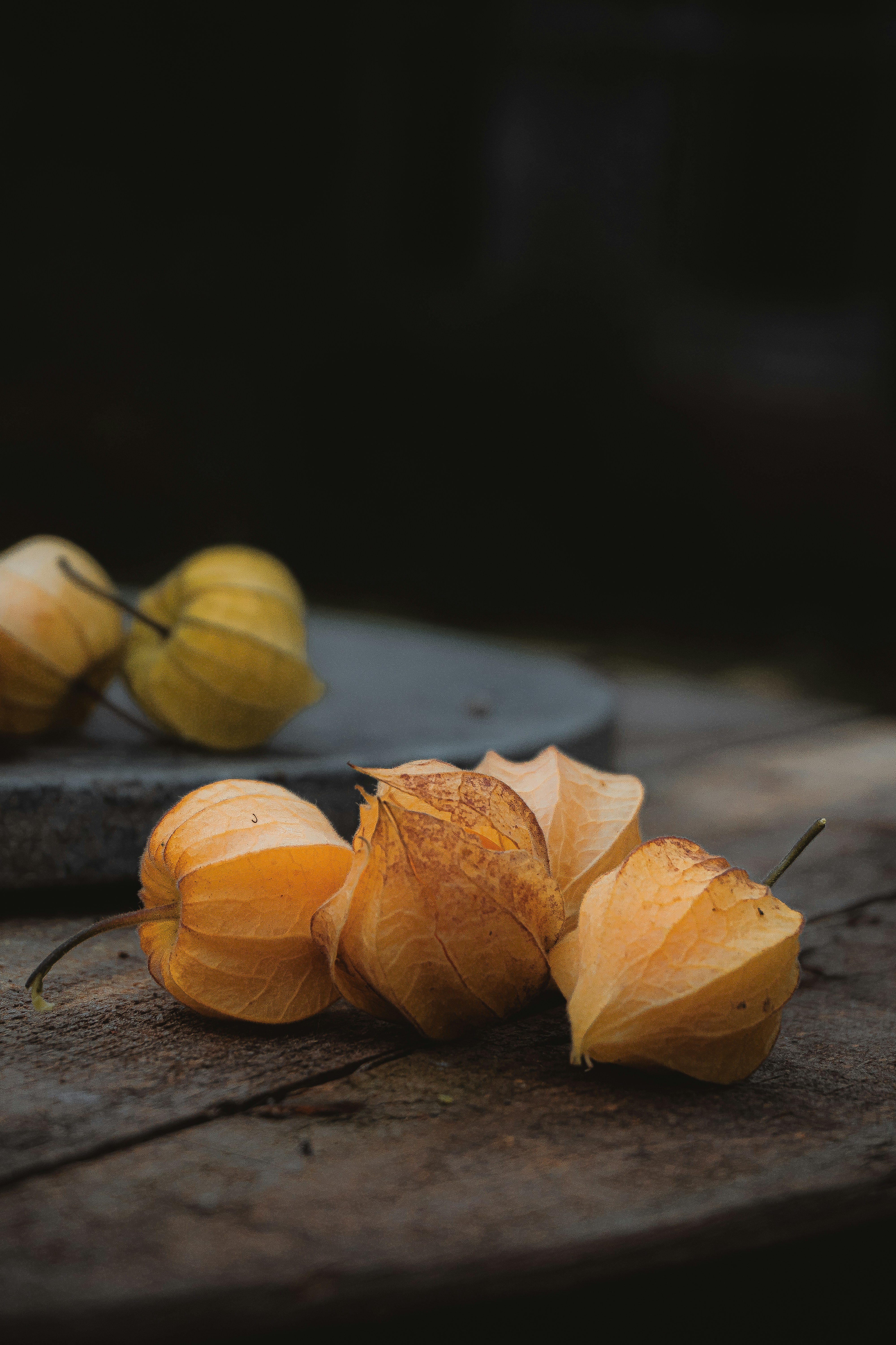 Photo by andreicastanha