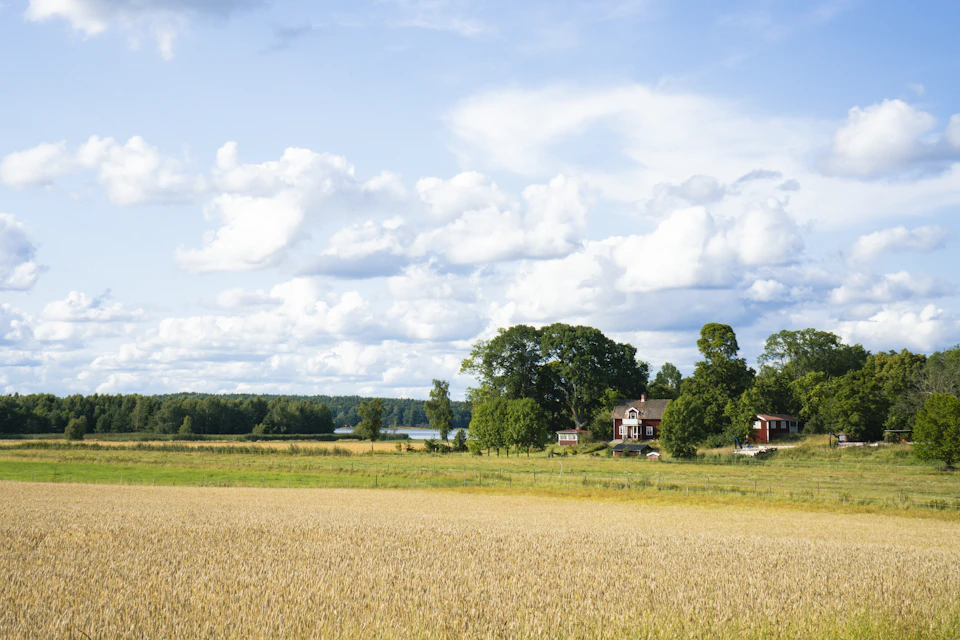 The image depicts a serene rural landscape with a large, lush green field stretching out into the distance. The field is dotted with trees and houses nestled among them, creating a picturesque scene. In the background, there are several buildings visible, including a house on the right side of the frame and another one further back in the distance. Above it all, the sky is a clear blue with fluffy white clouds scattered across it.