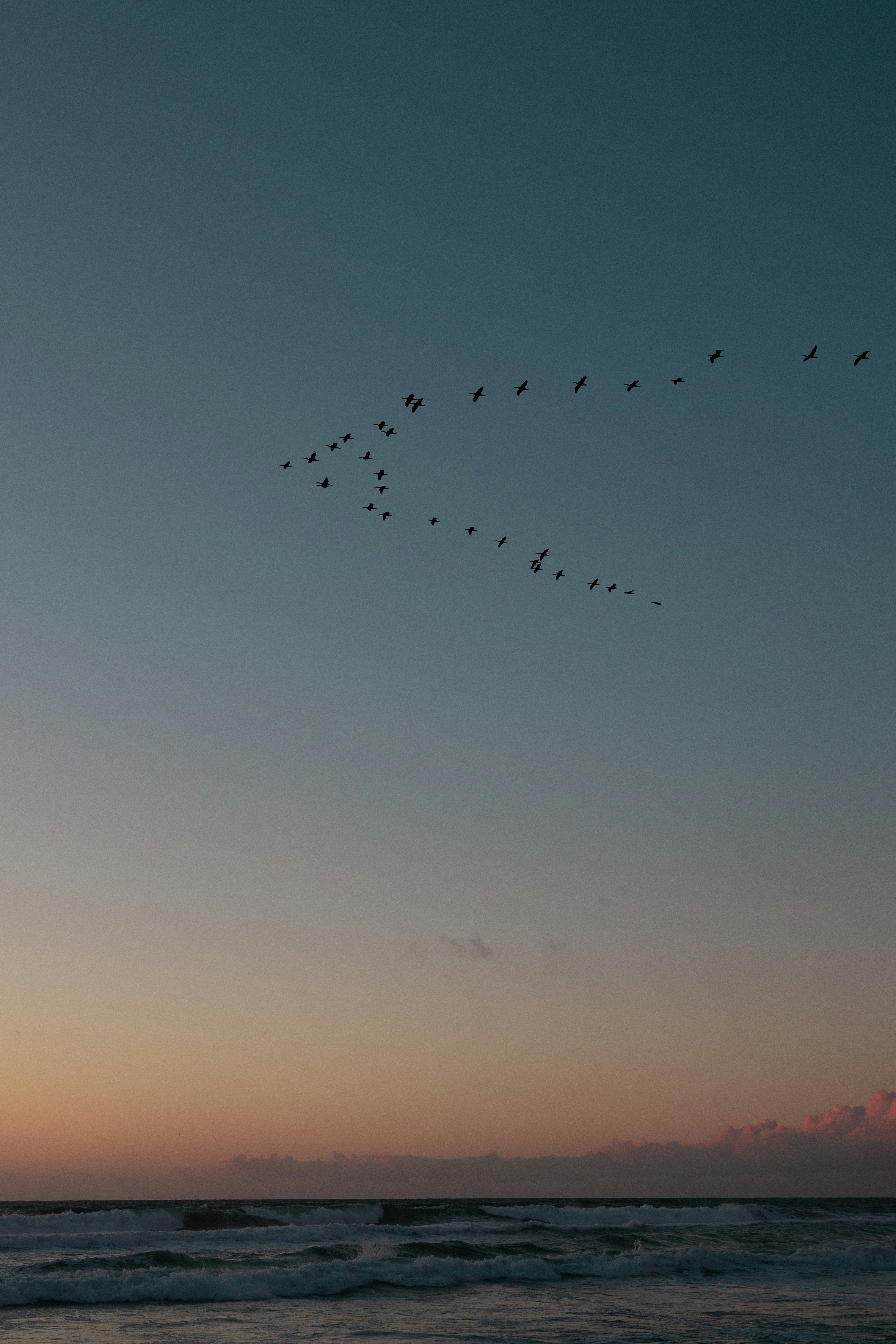 A flock of birds flying over the ocean at sunset