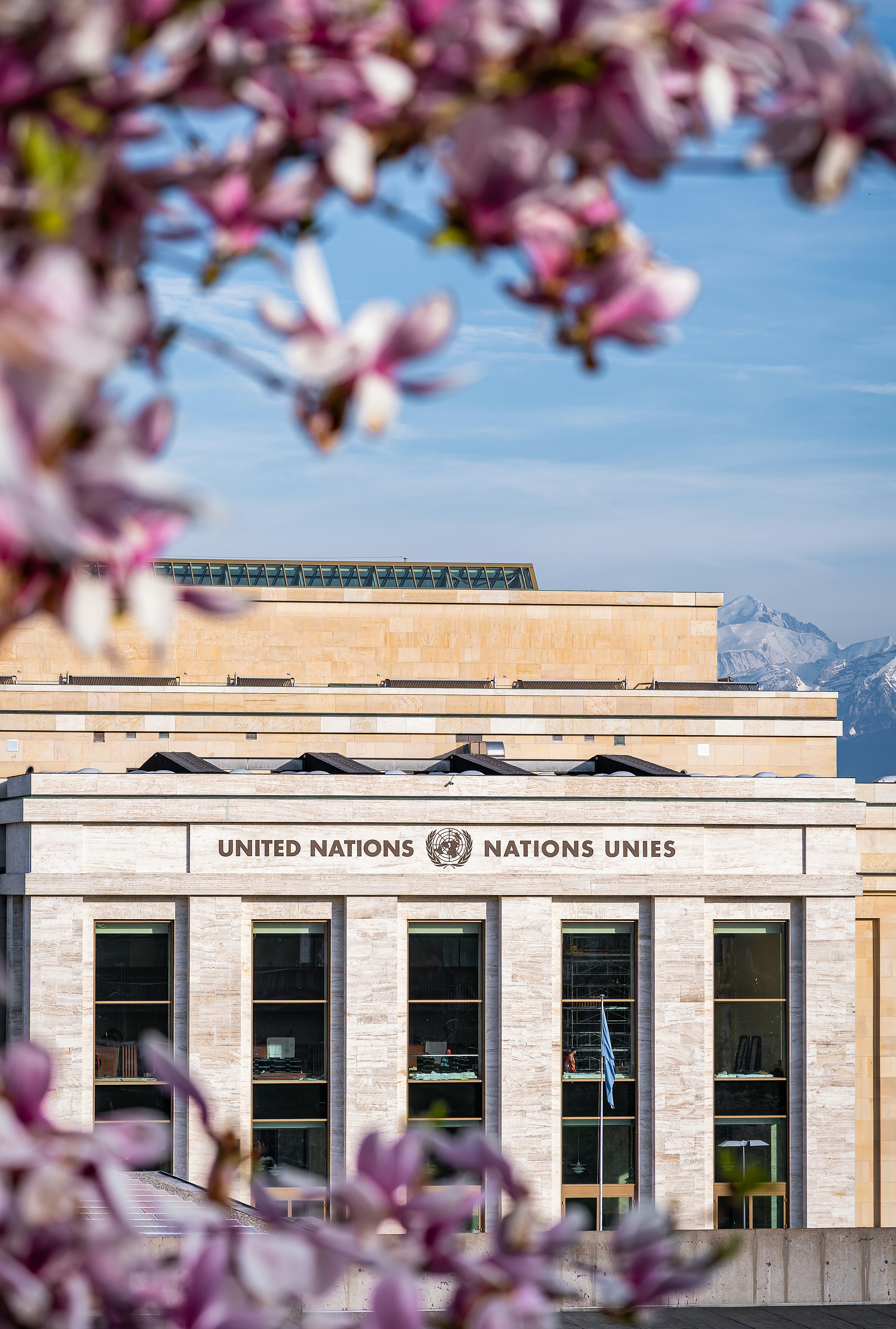 A building with a lot of flowers in front of it