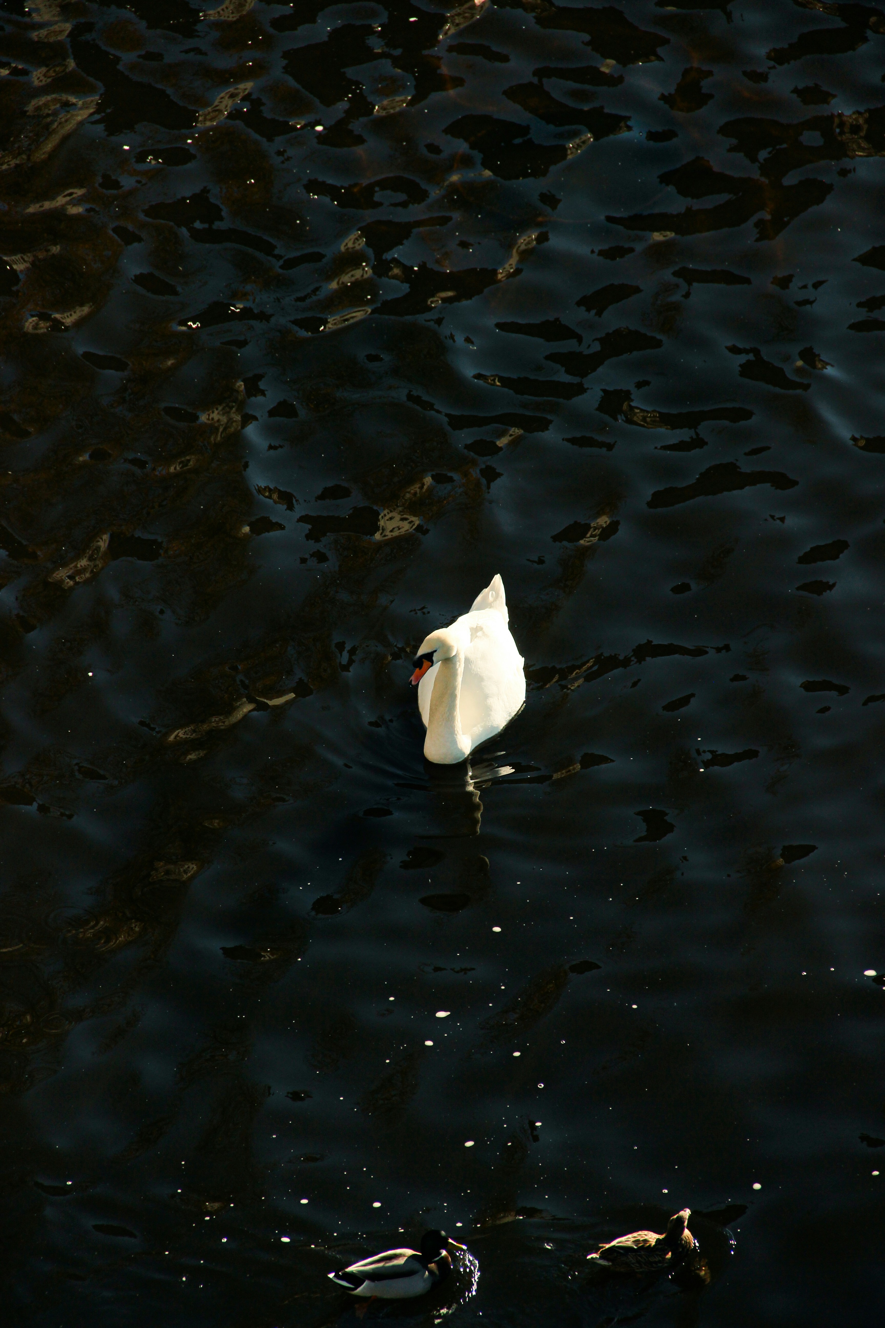 Photo by daniyarorazov