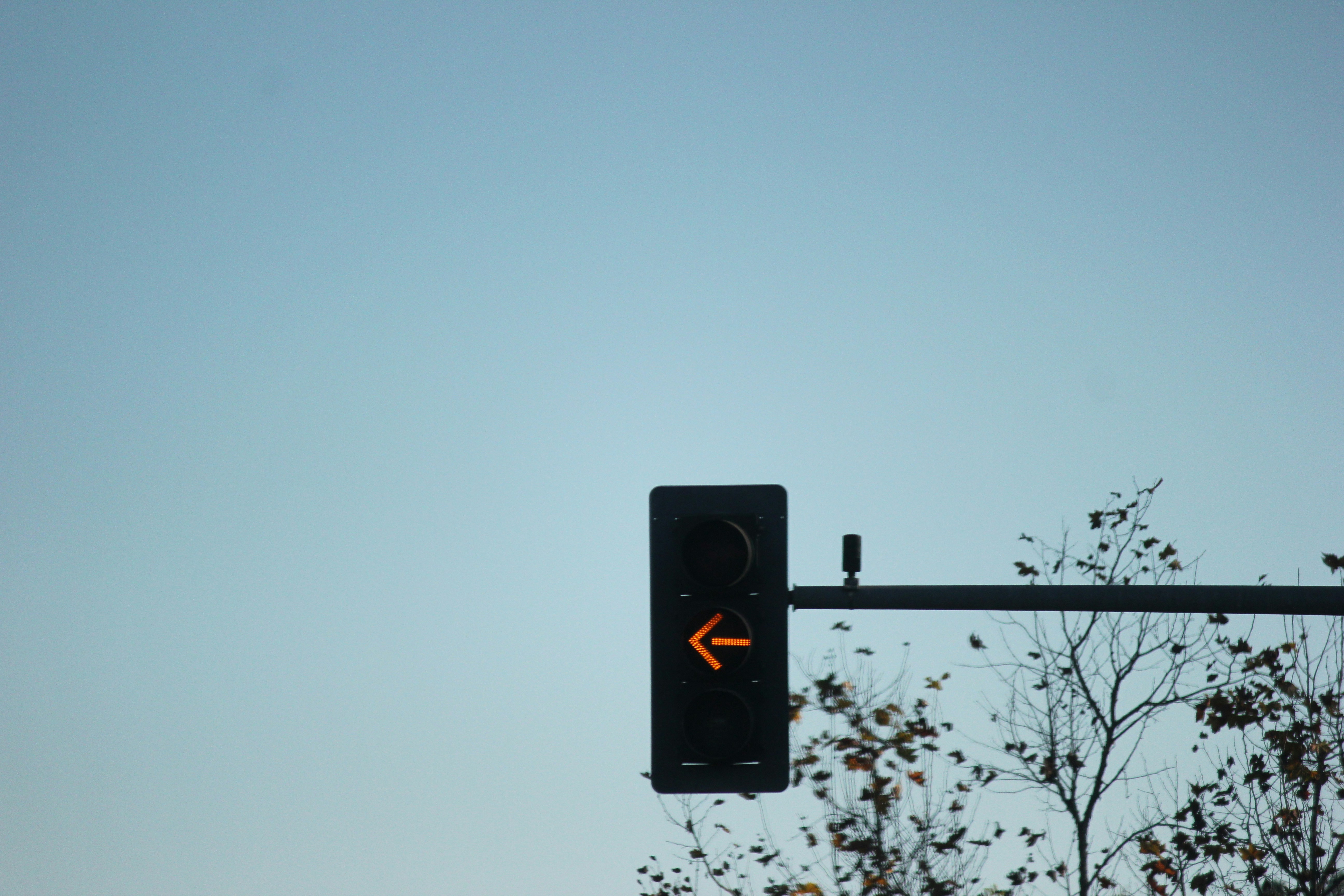 Photo by frolicsomefairy