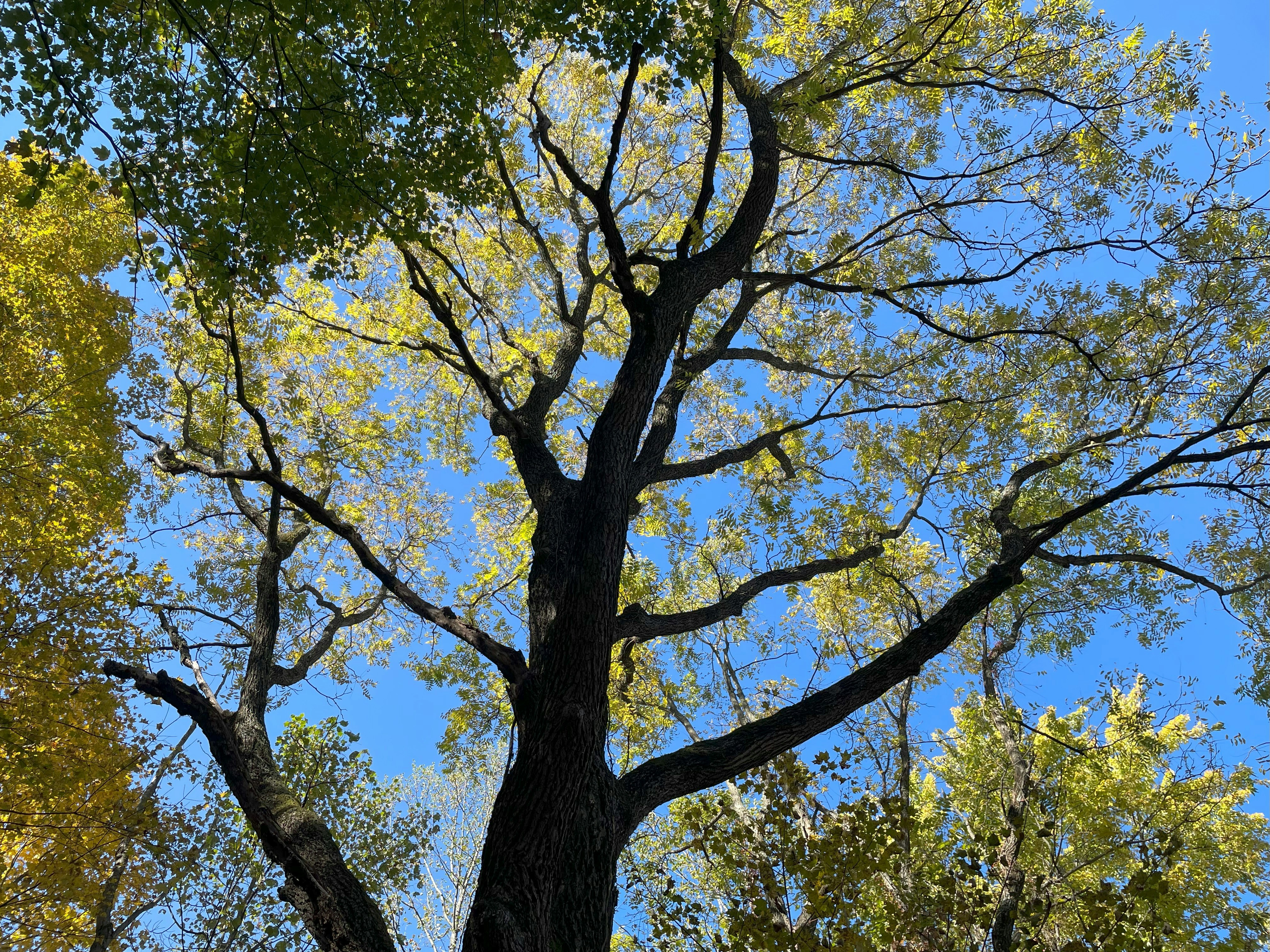 Photo by breezyeagle