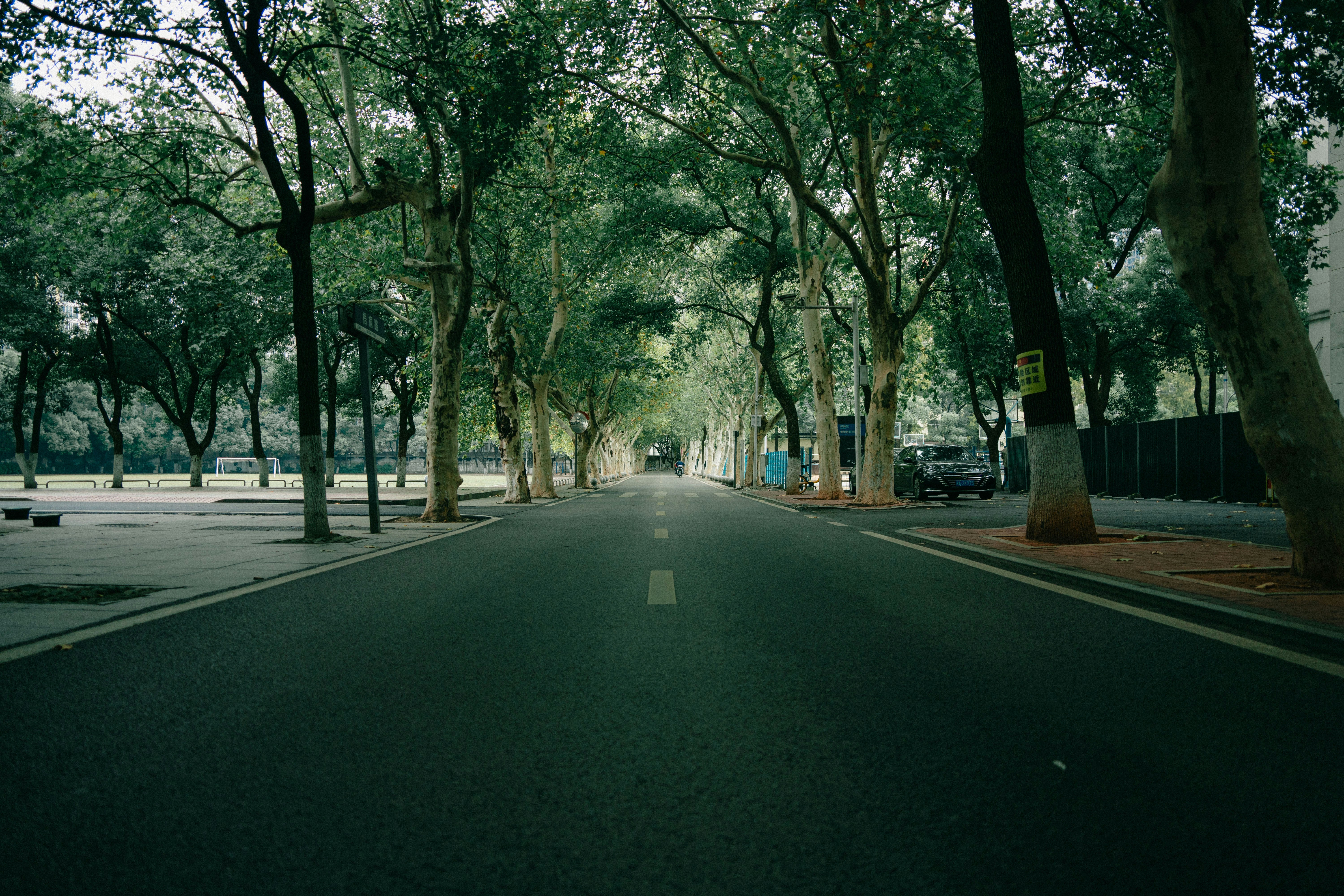 Photo by xiexianghua