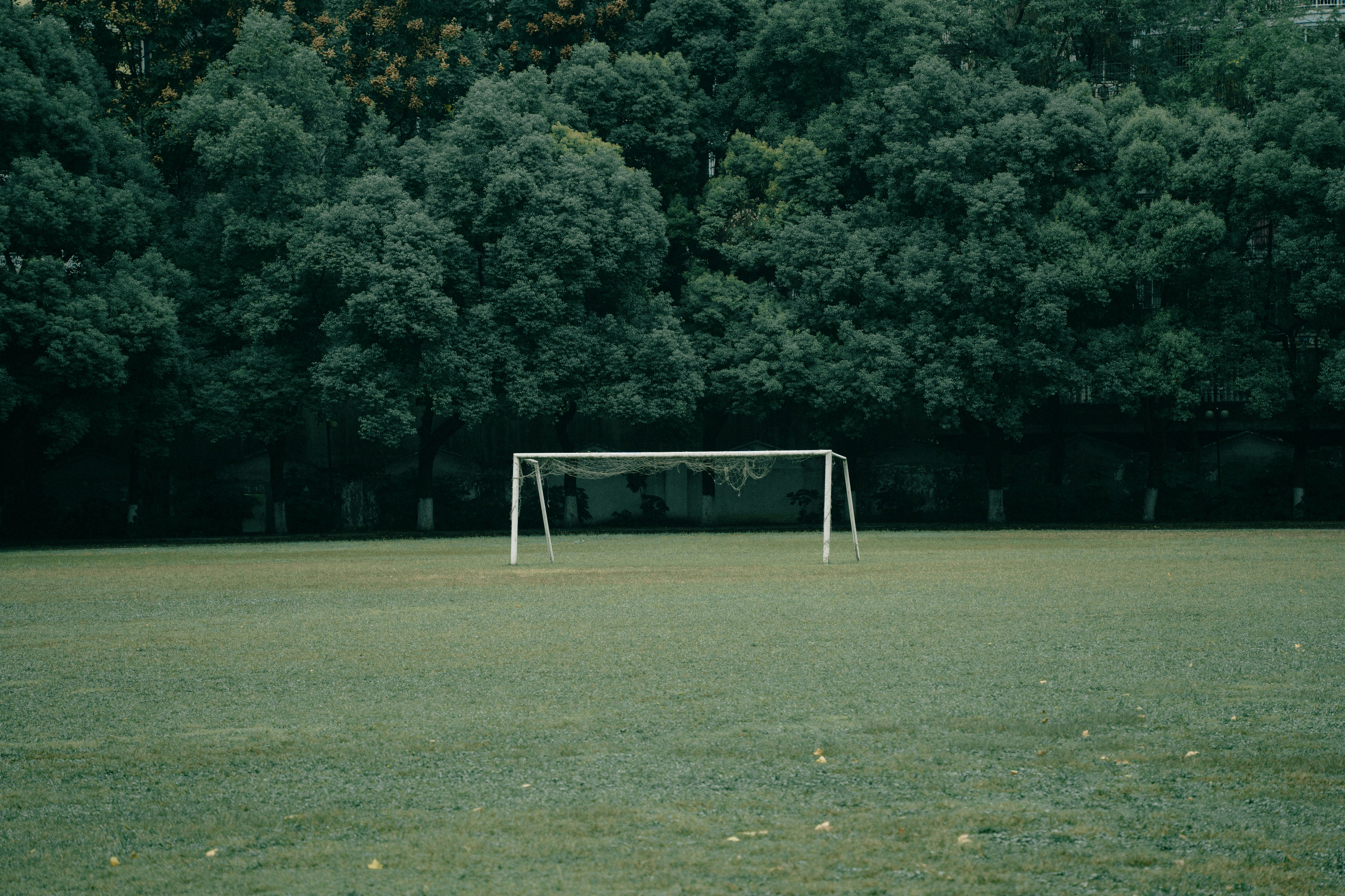 Women's Soccer Analytics in 2026: Closing Gaps with Microdata and Tactical Playbooks