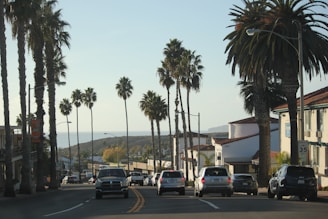 A city street with palm trees and buildings