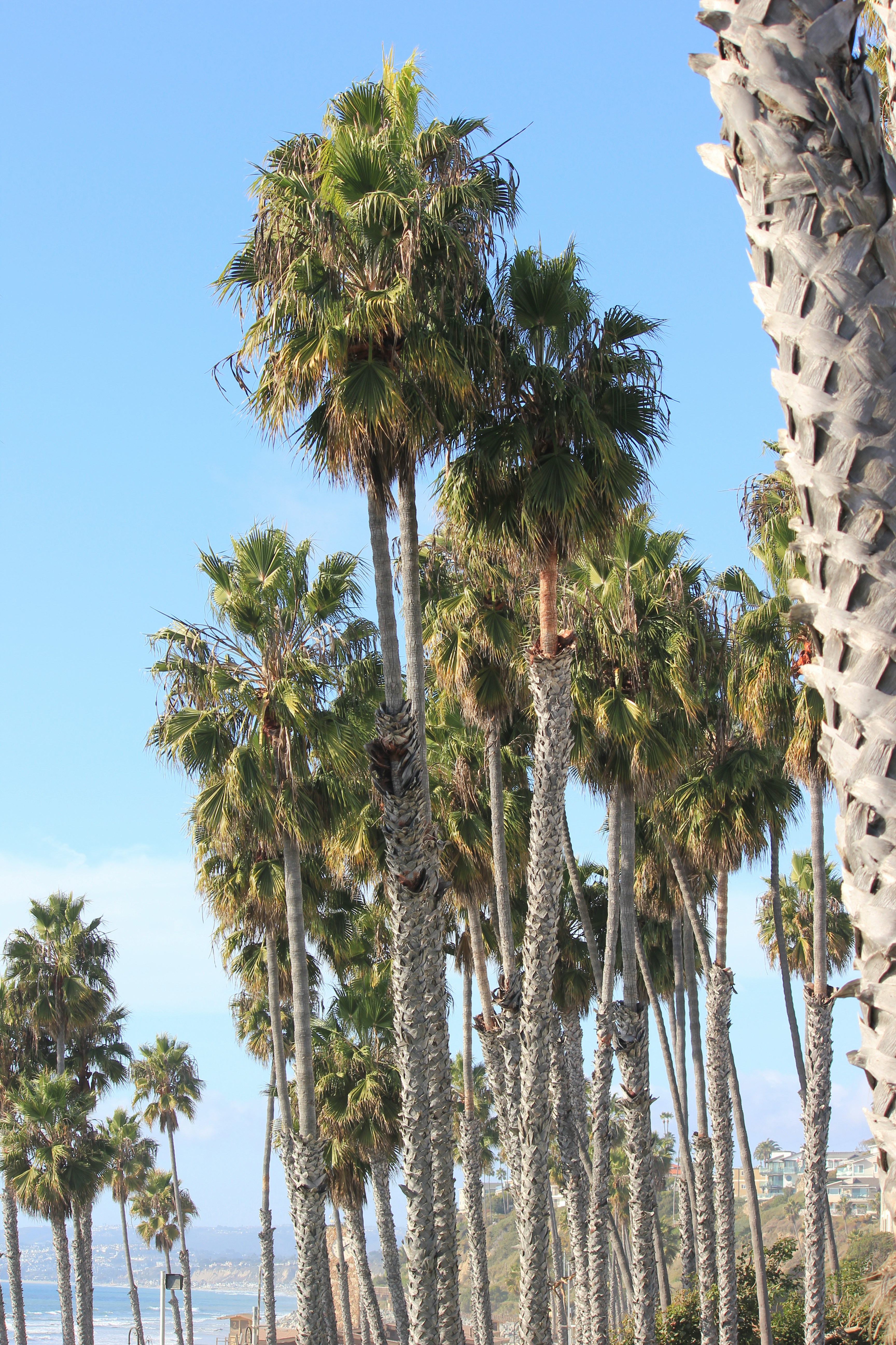 Photo by frolicsomefairy