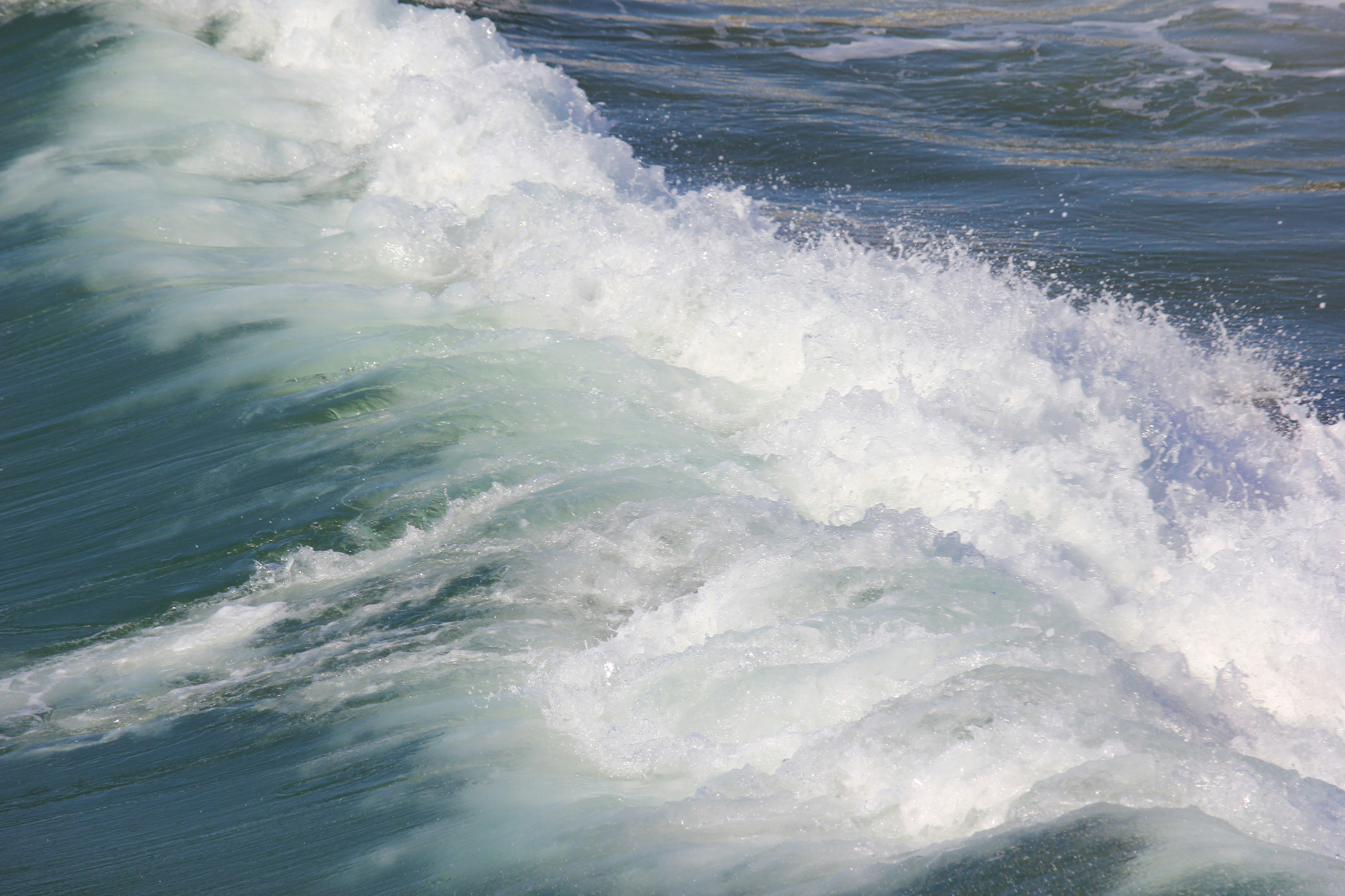 Photo by frolicsomefairy