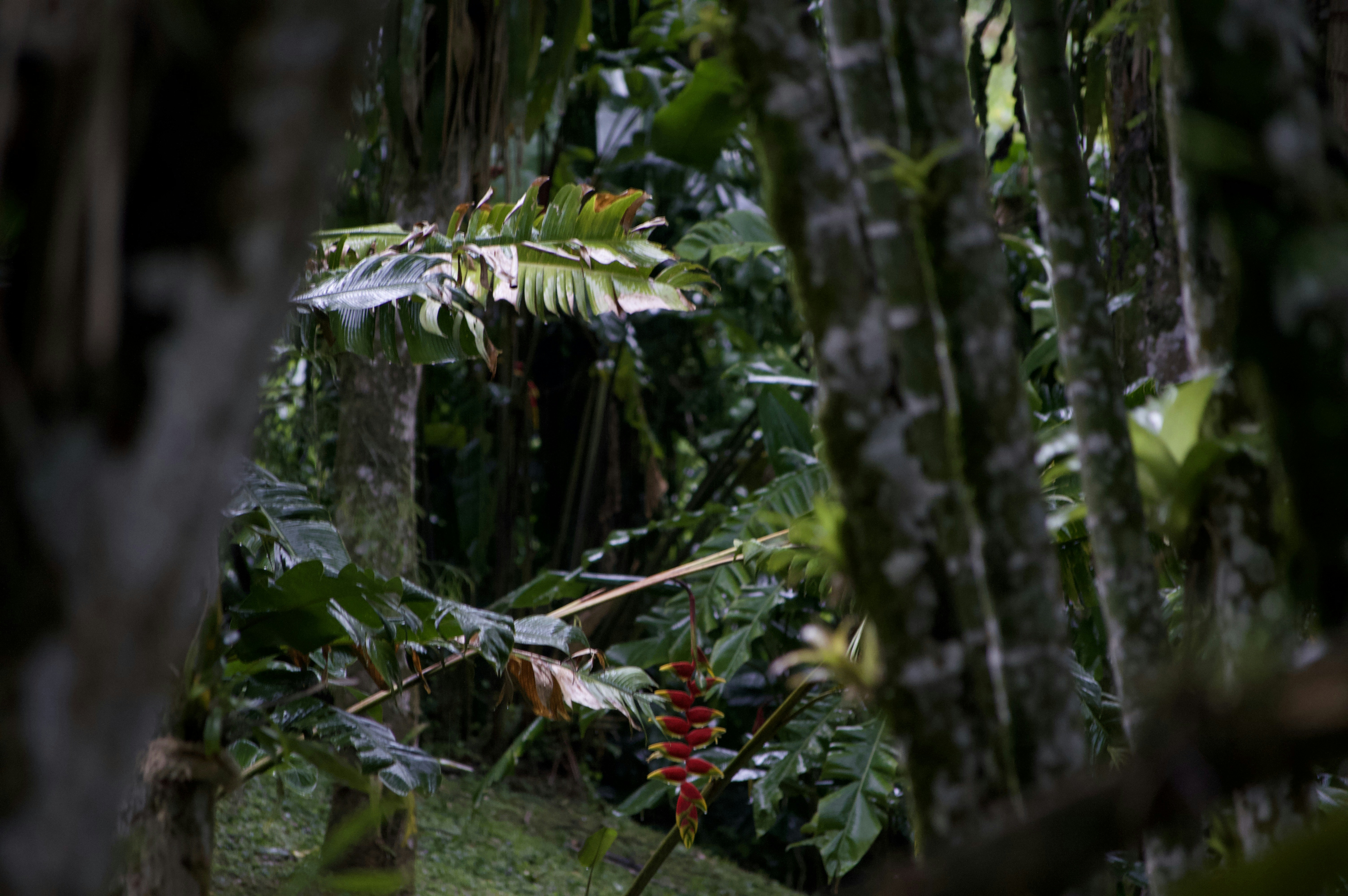 Photo by never_to_late