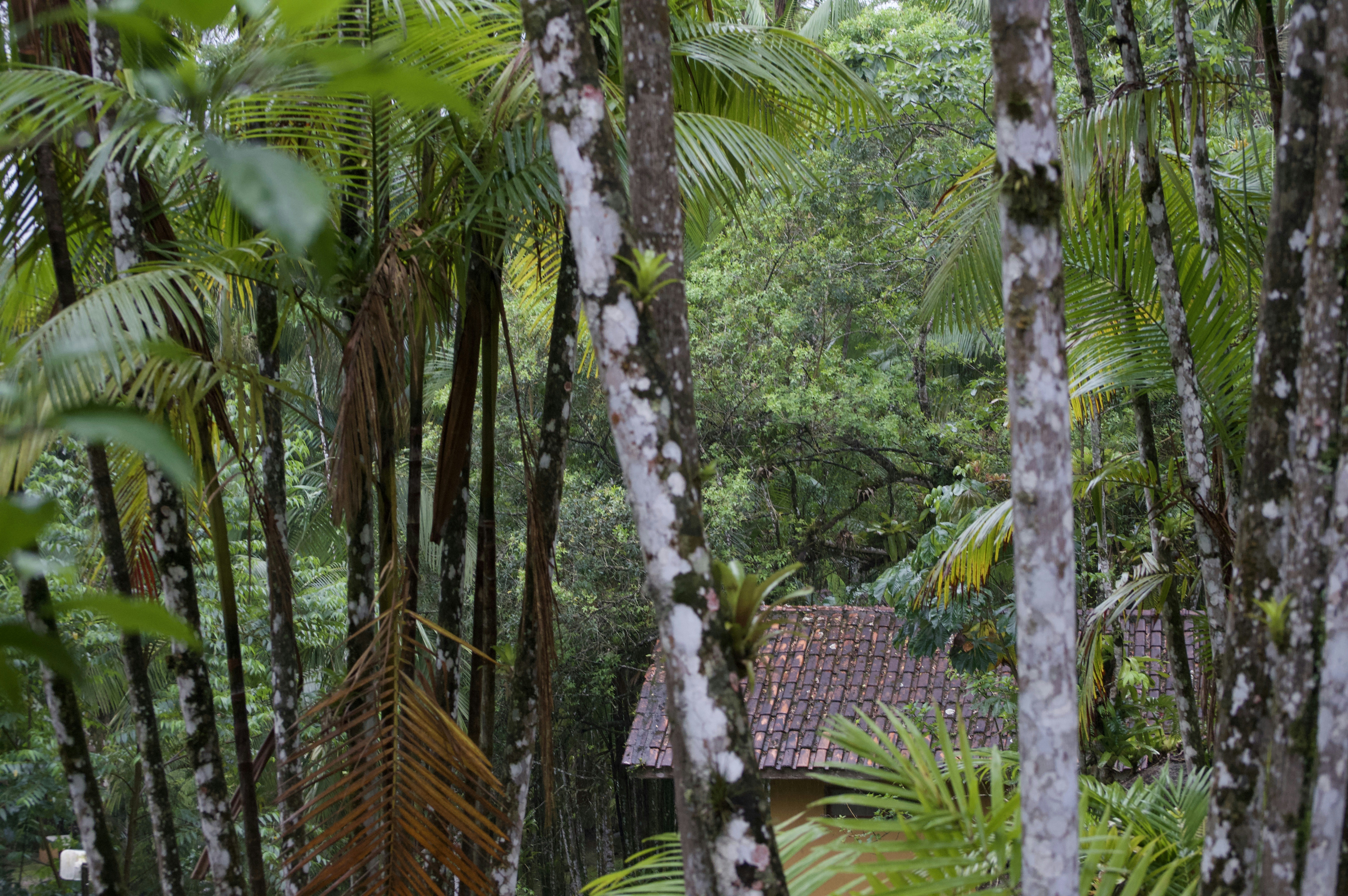 Photo by never_to_late