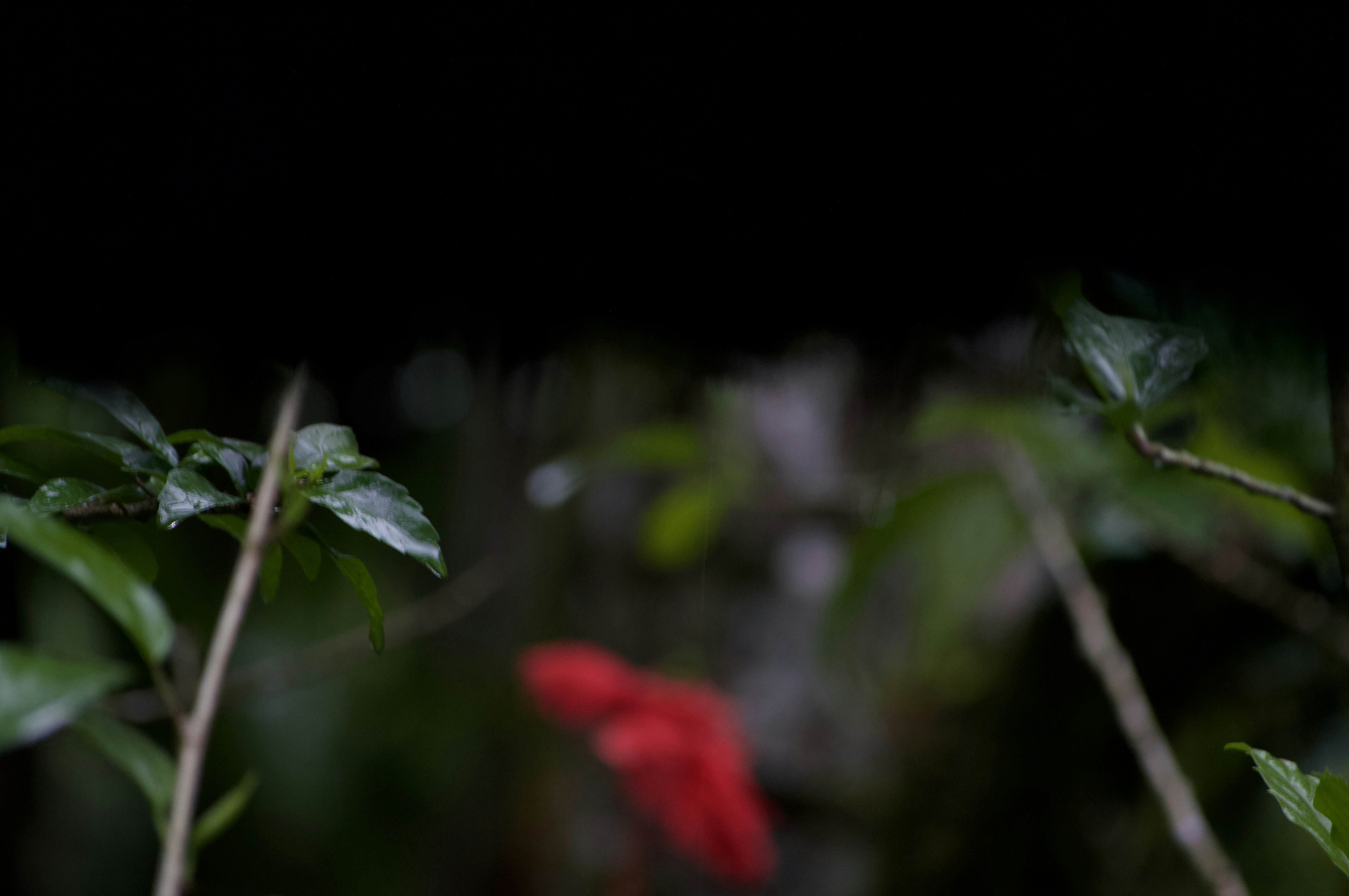 Photo by never_to_late