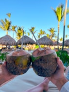 A person holding two coconuts in front of a beach