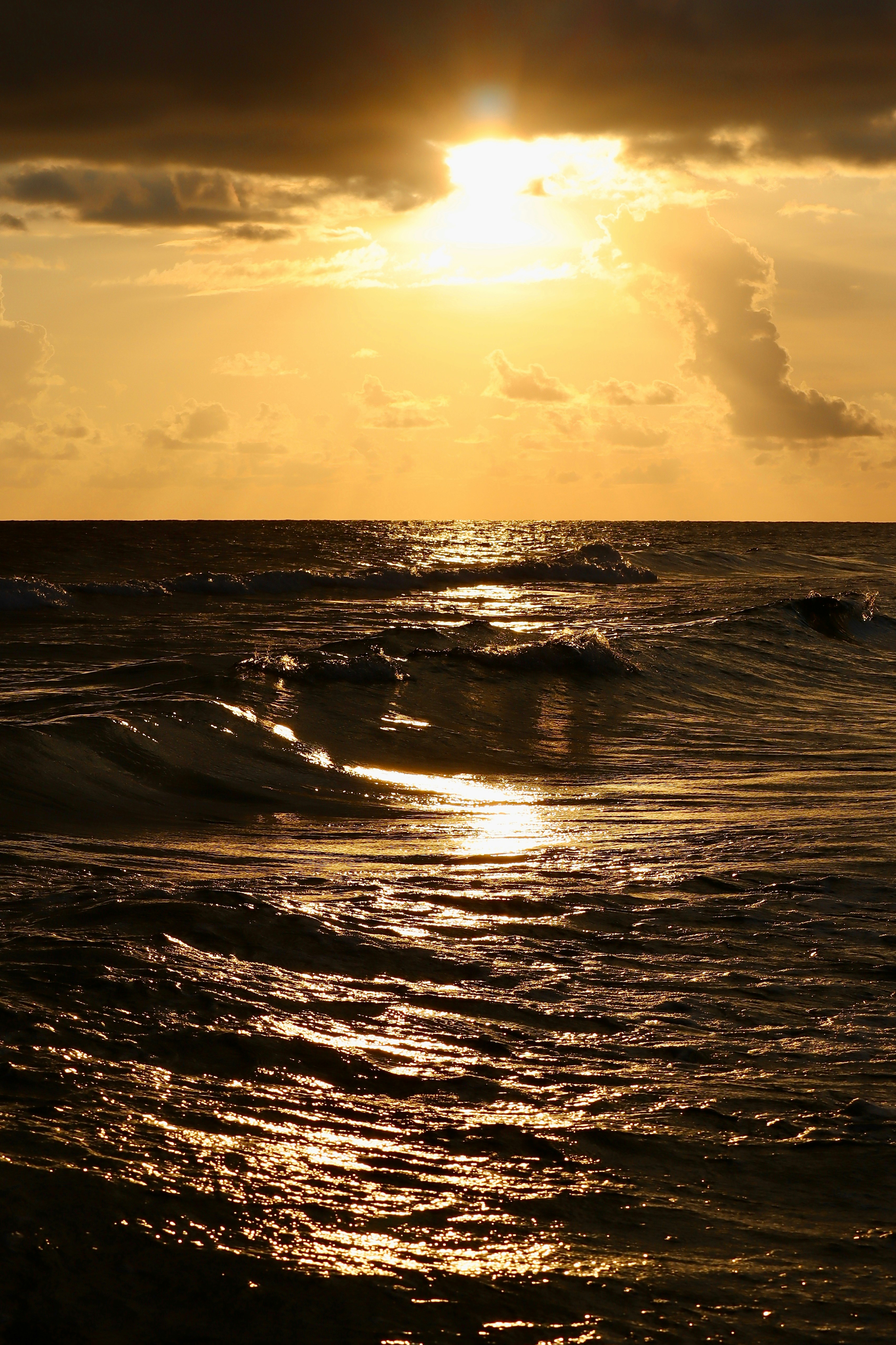 Photo by uberzeught