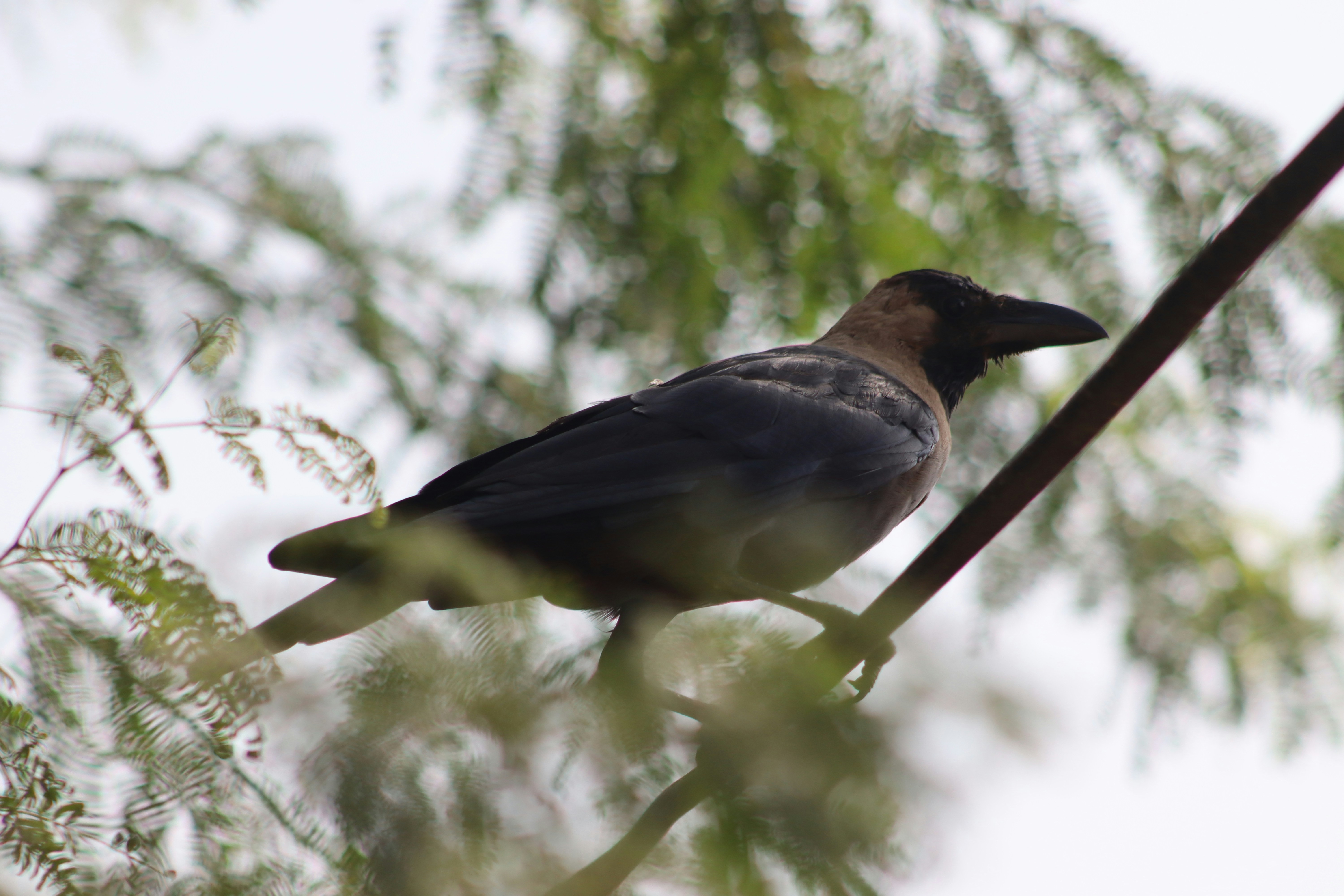 Photo by drphotographer152