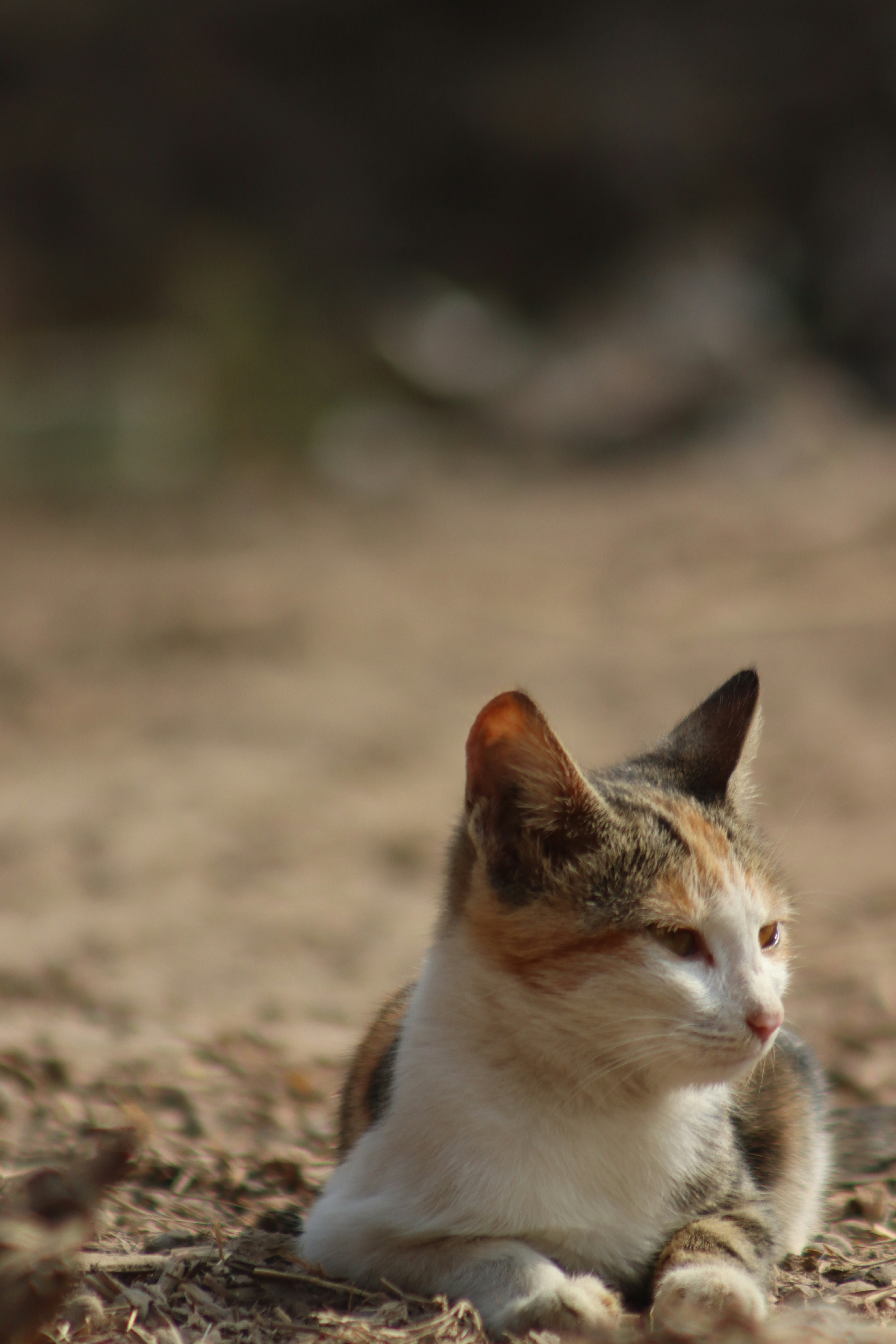 Photo by drphotographer152