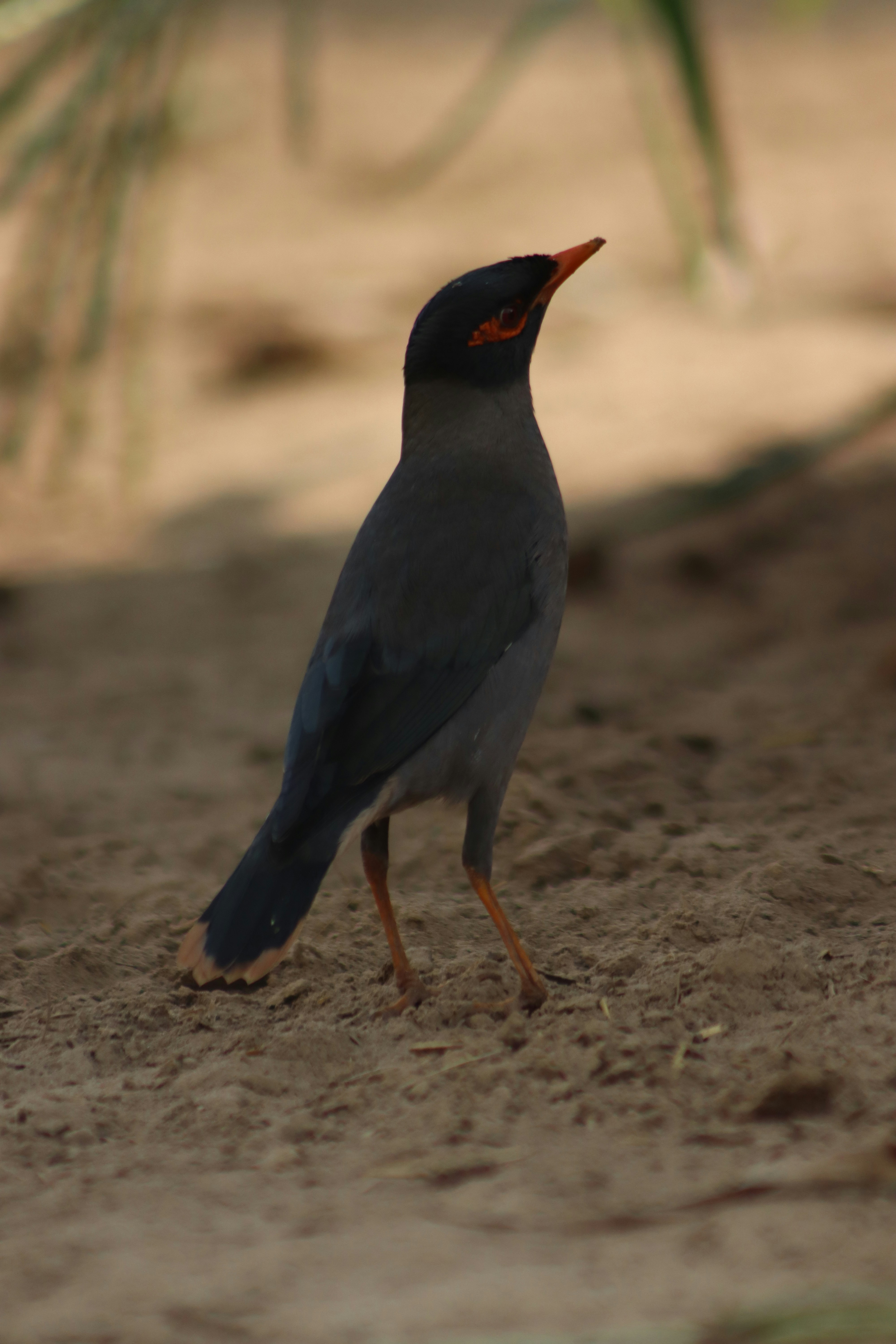 Photo by drphotographer152