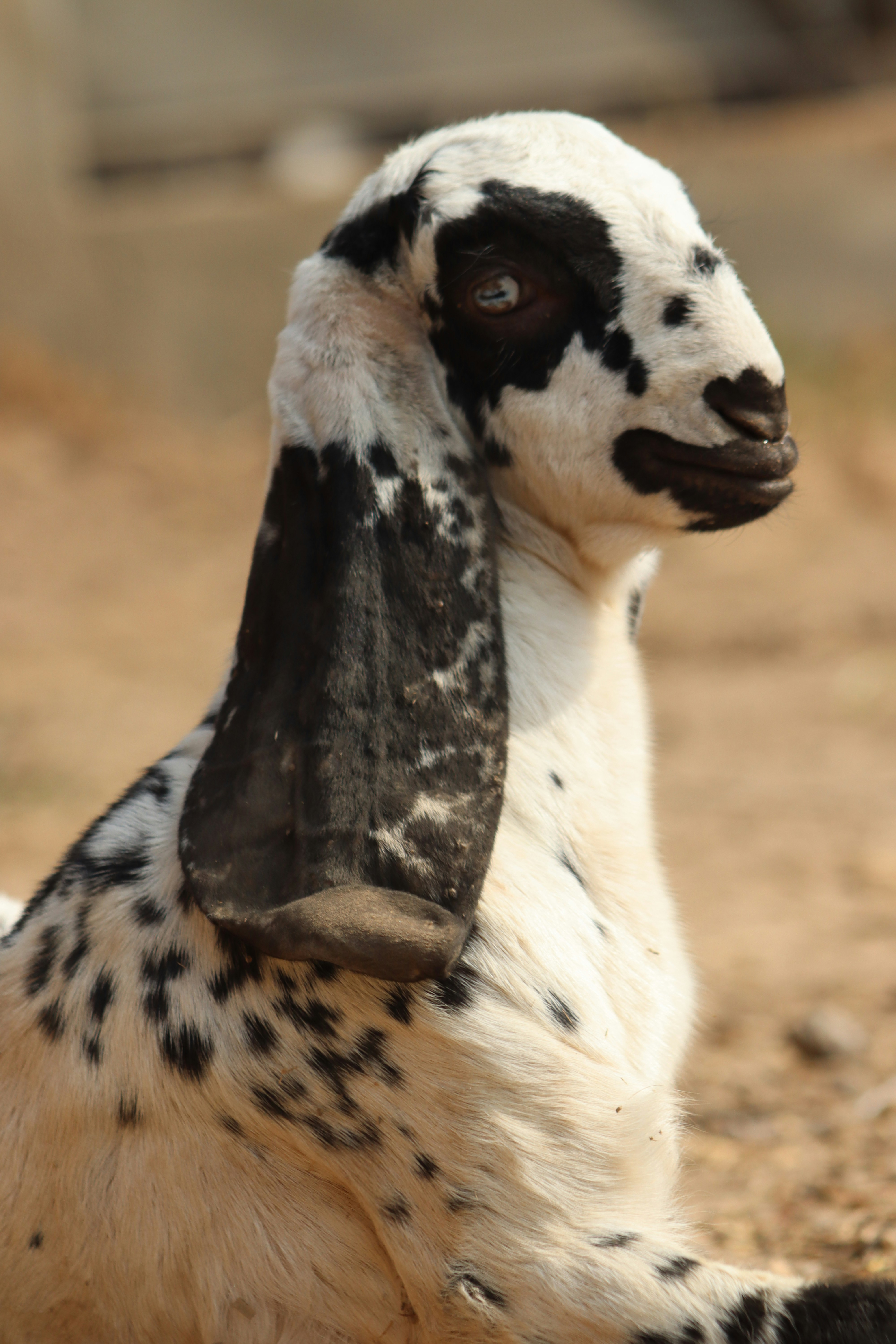 Photo by drphotographer152