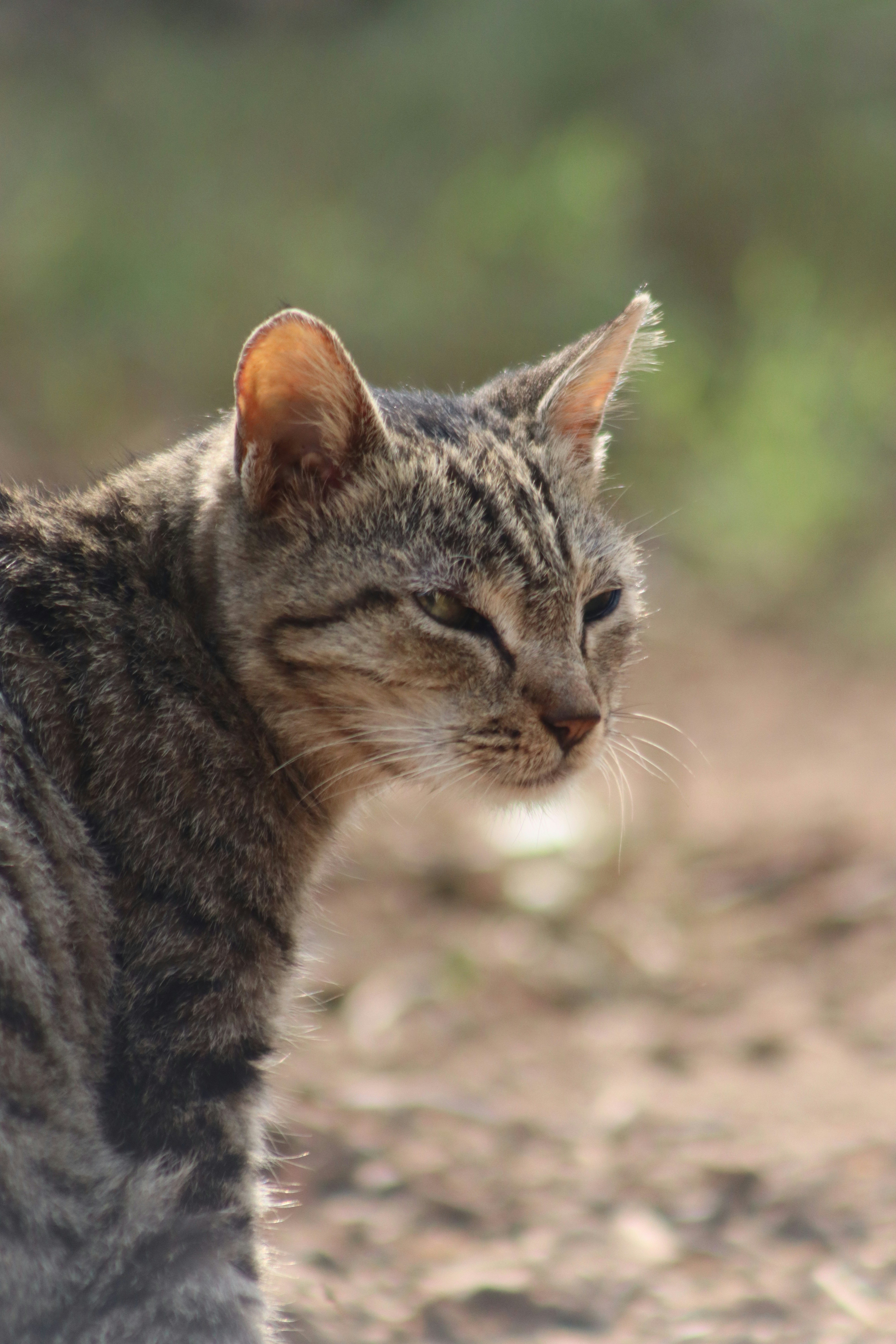 Photo by drphotographer152