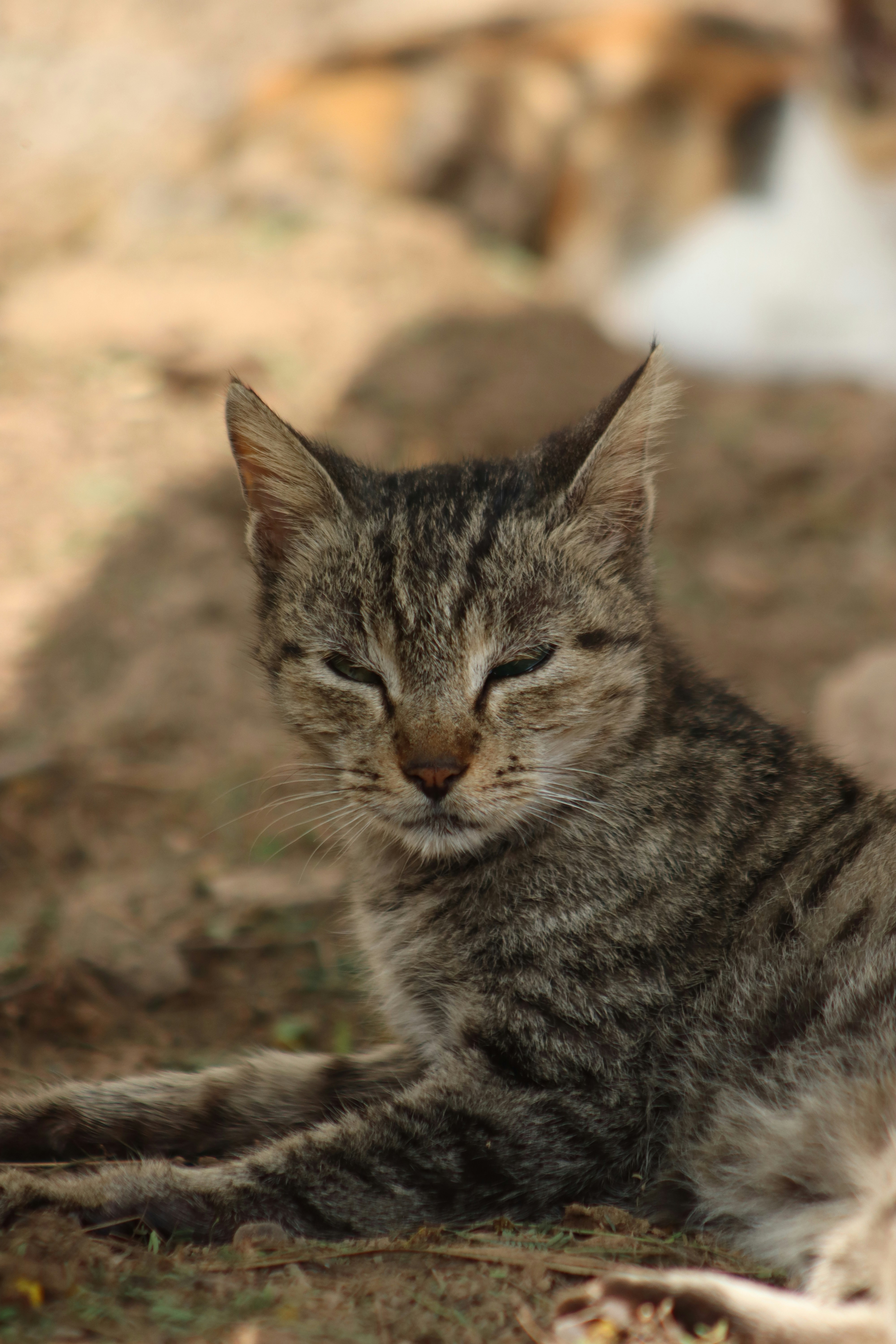 Photo by drphotographer152