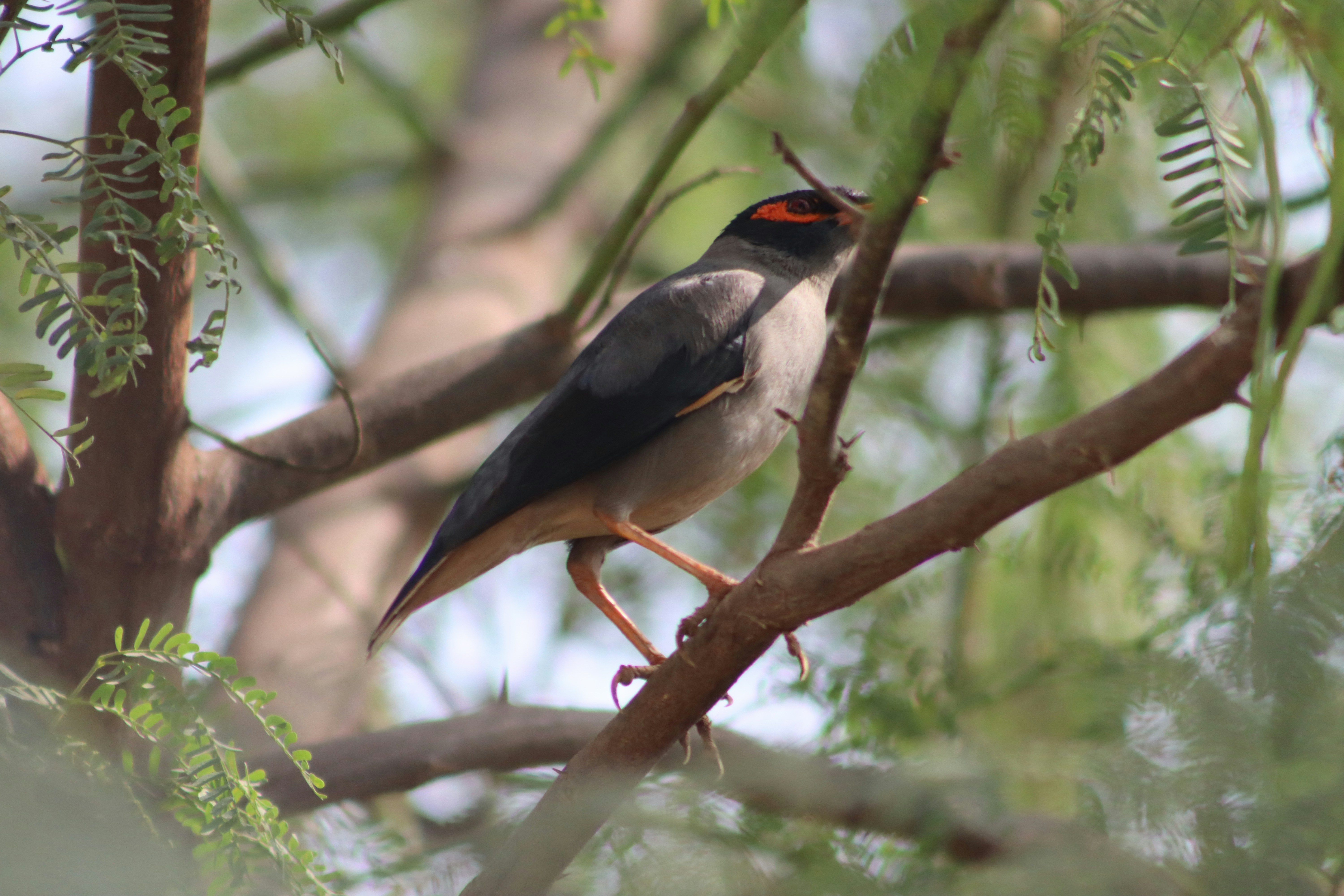 Photo by drphotographer152