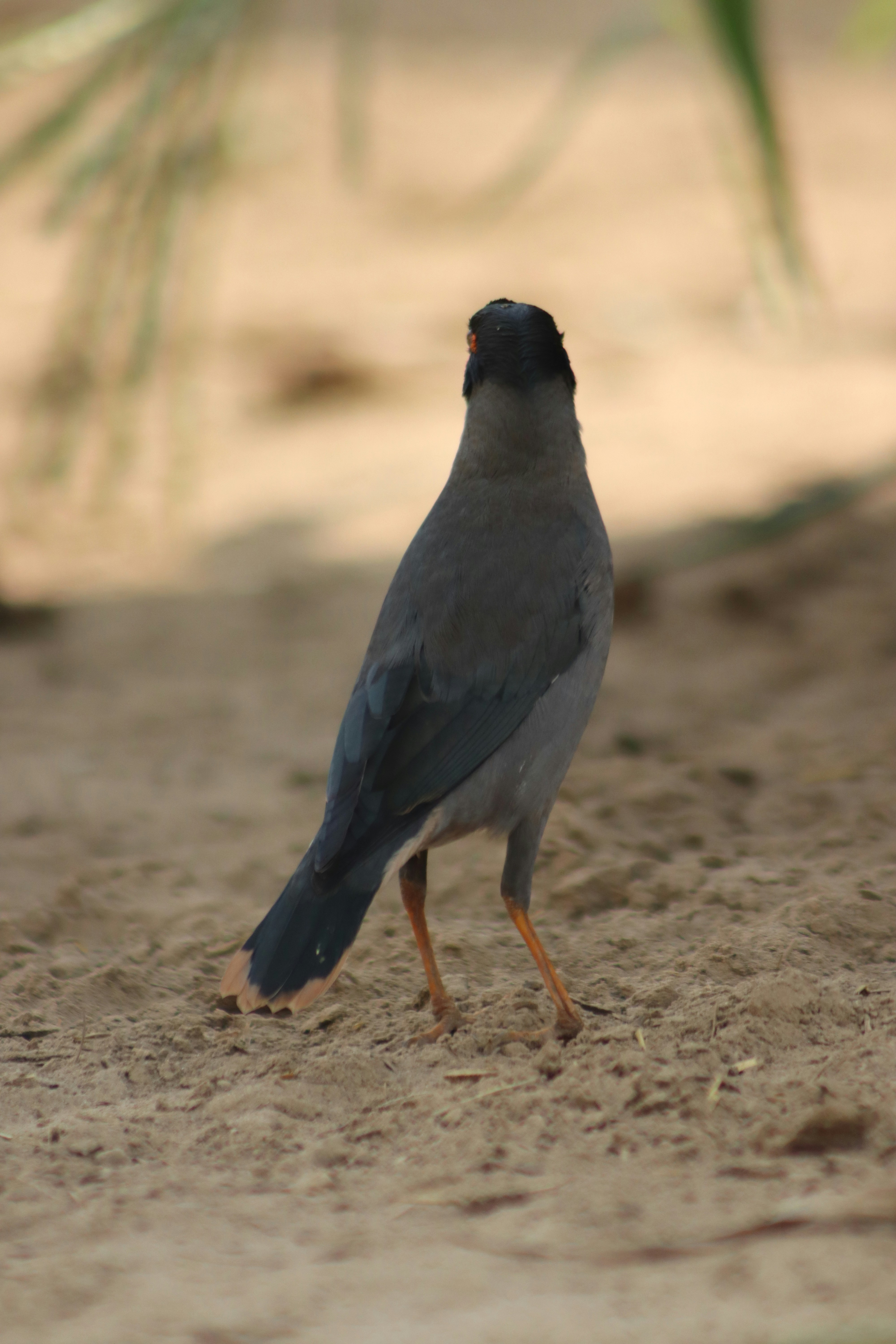 Photo by drphotographer152