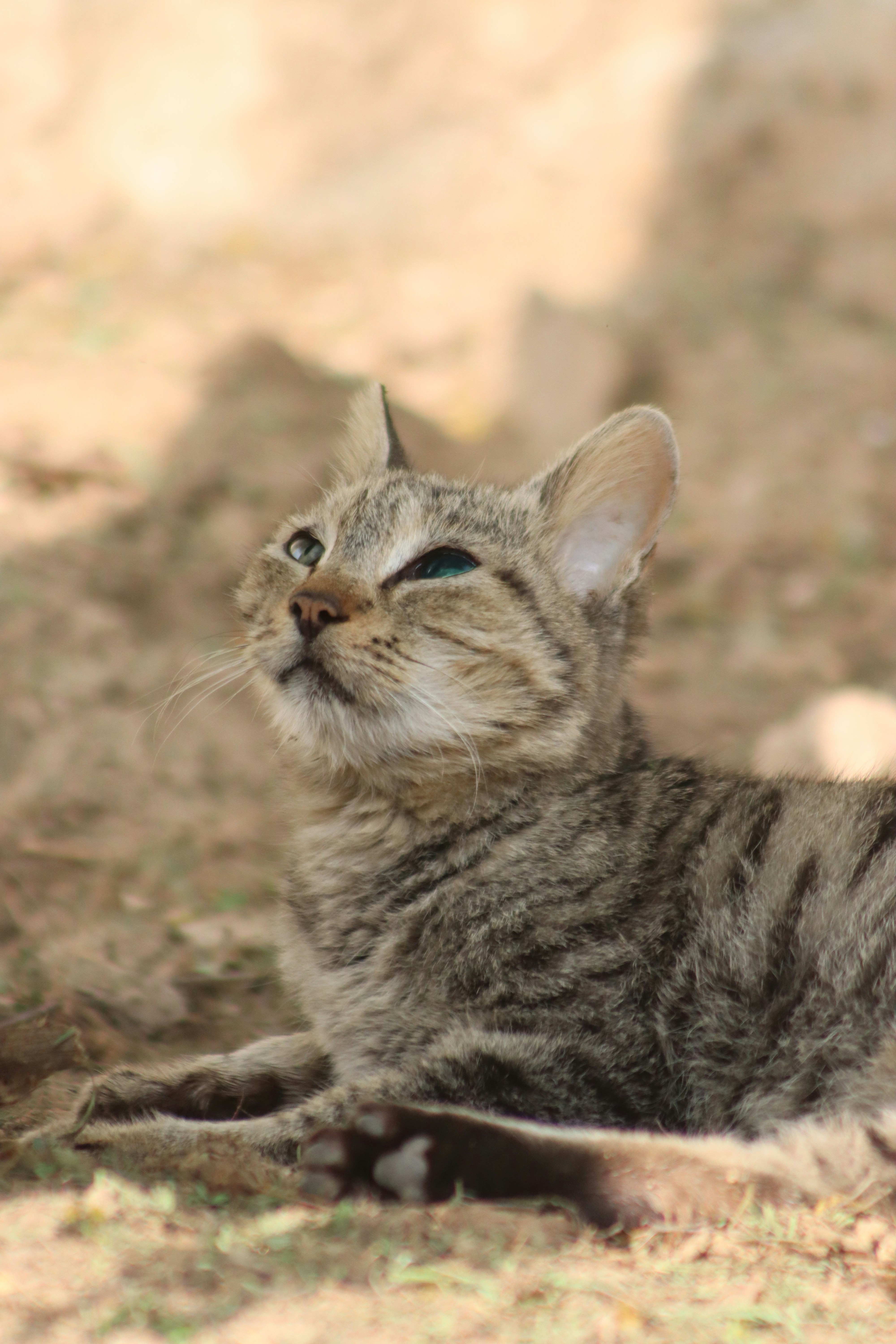 Photo by drphotographer152