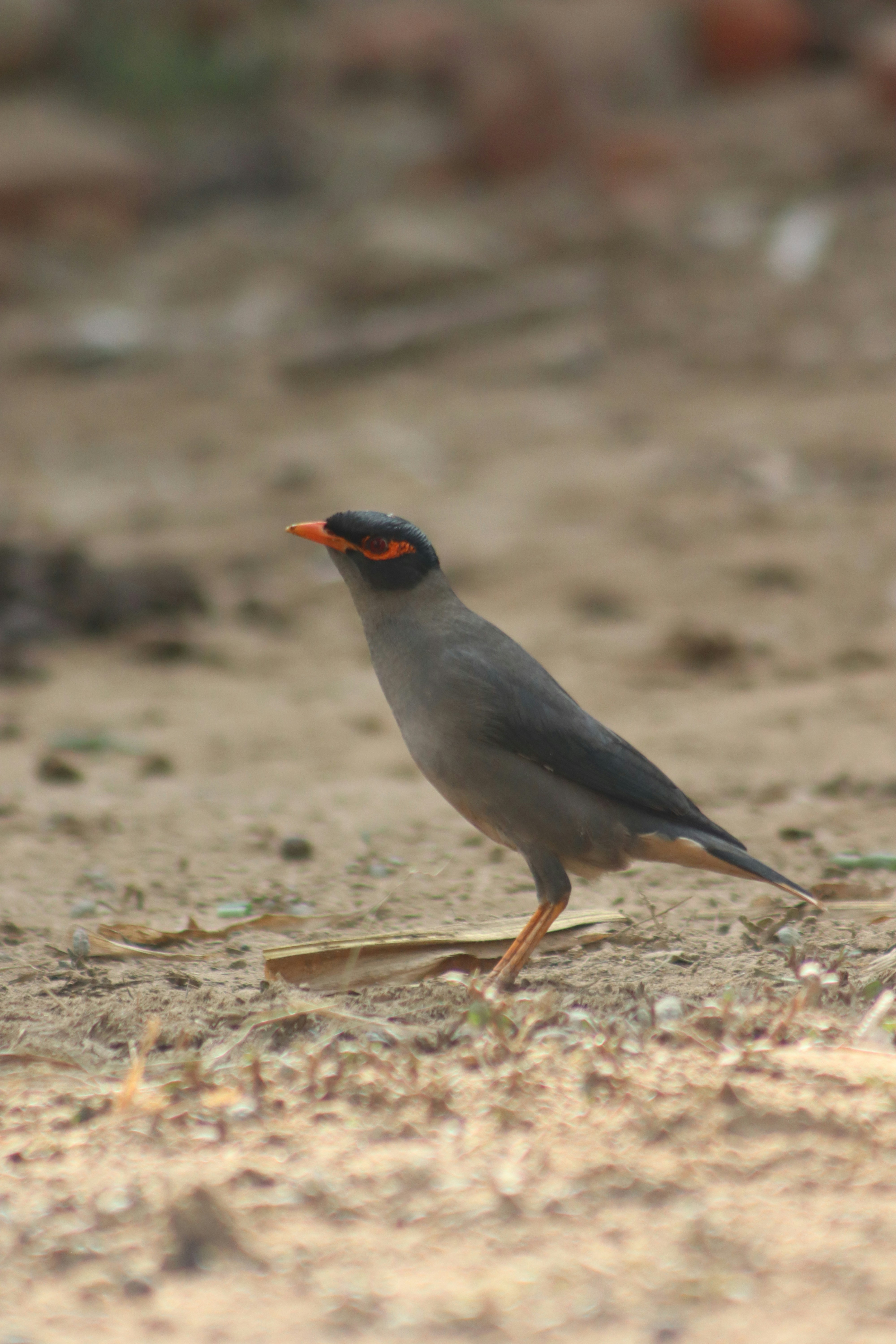 Photo by drphotographer152