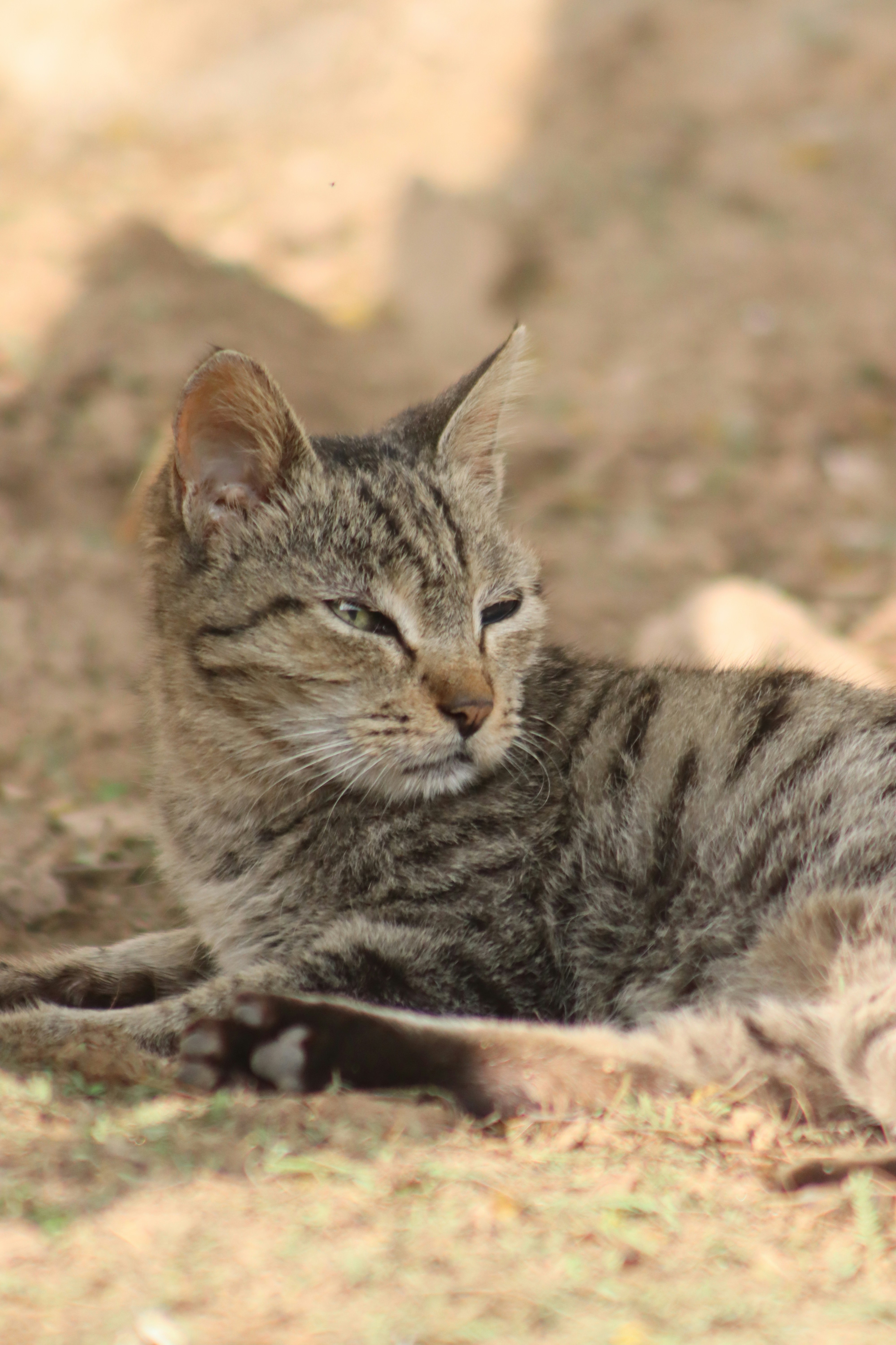 Photo by drphotographer152