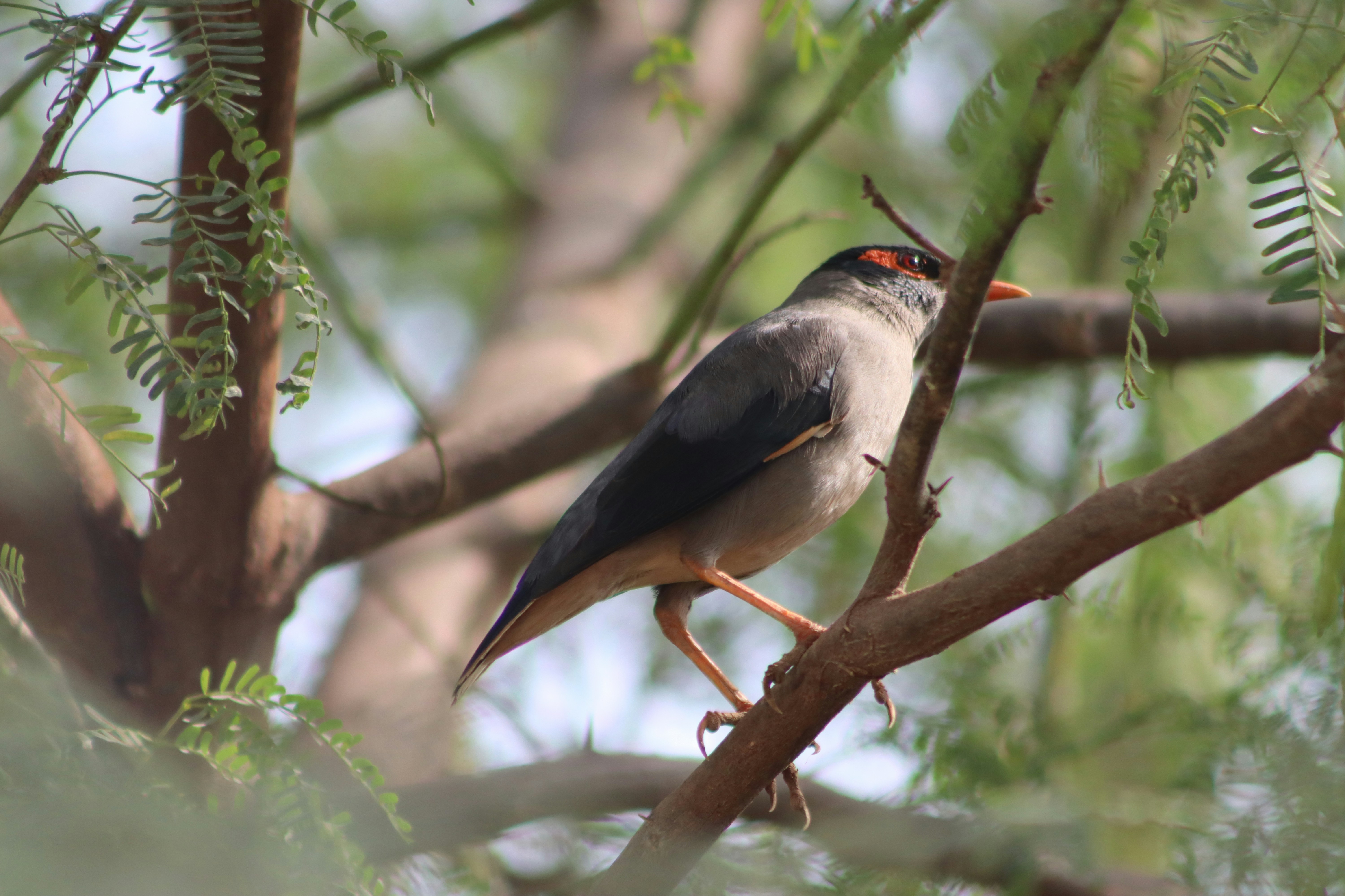 Photo by drphotographer152