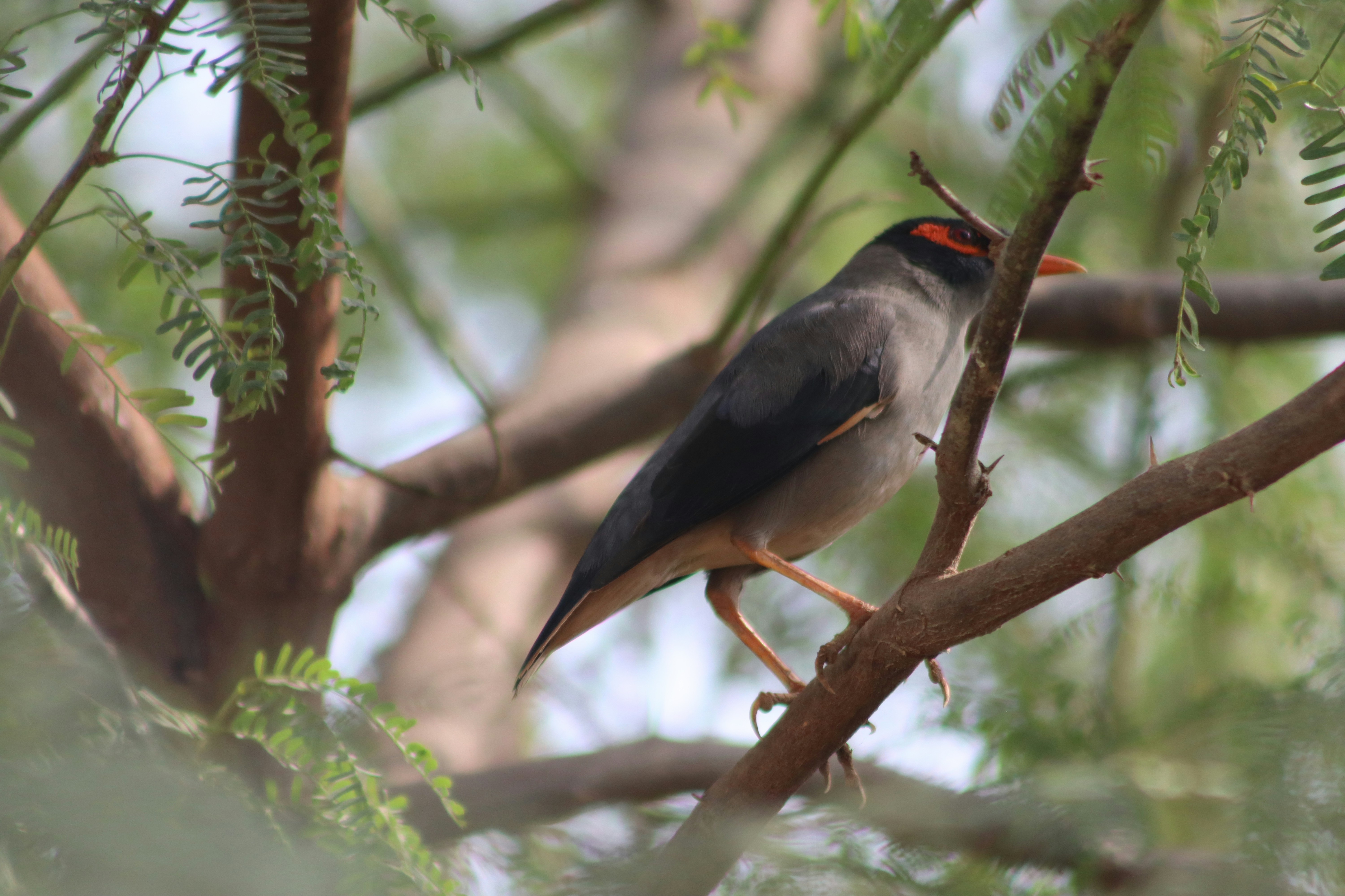 Photo by drphotographer152