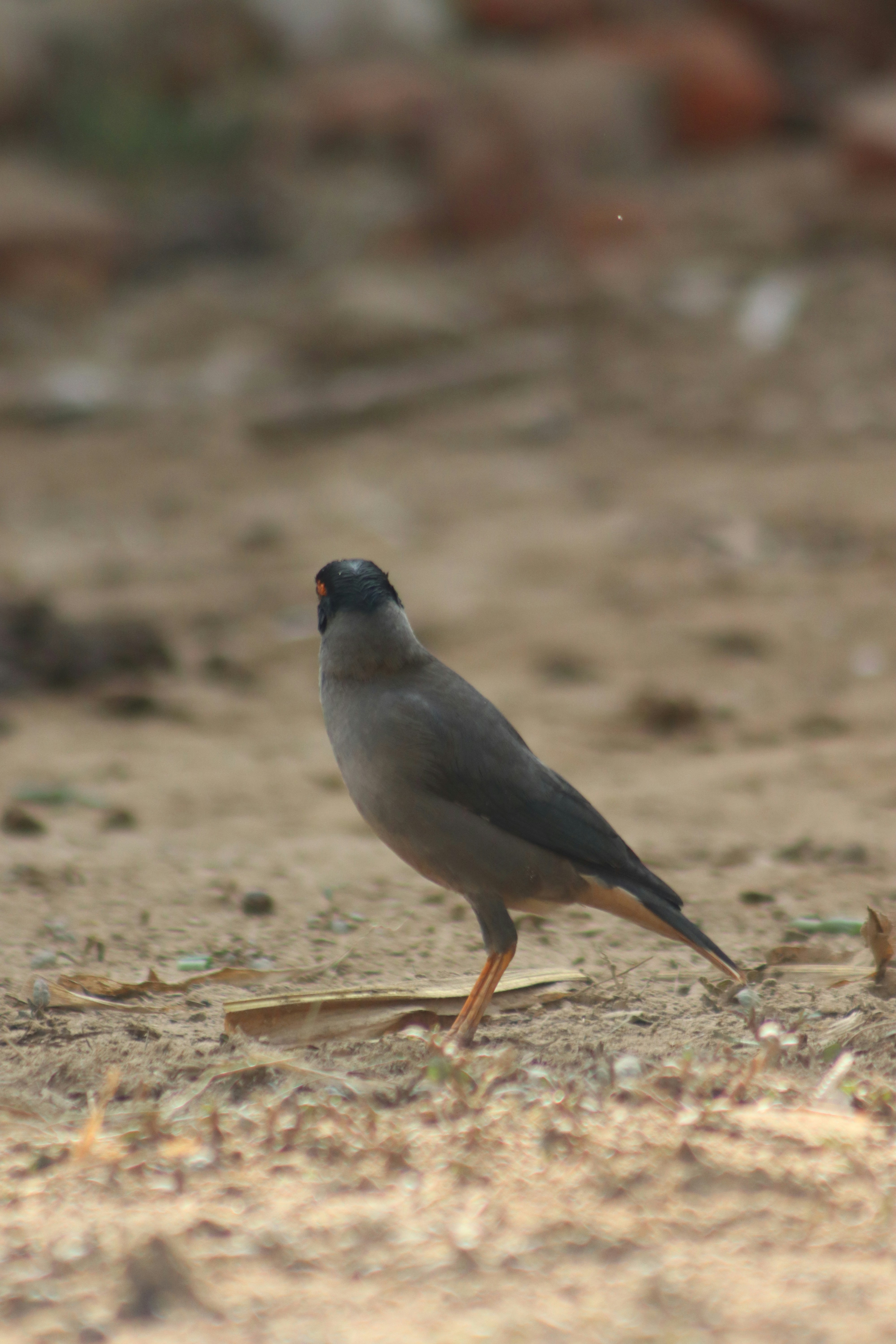 Photo by drphotographer152