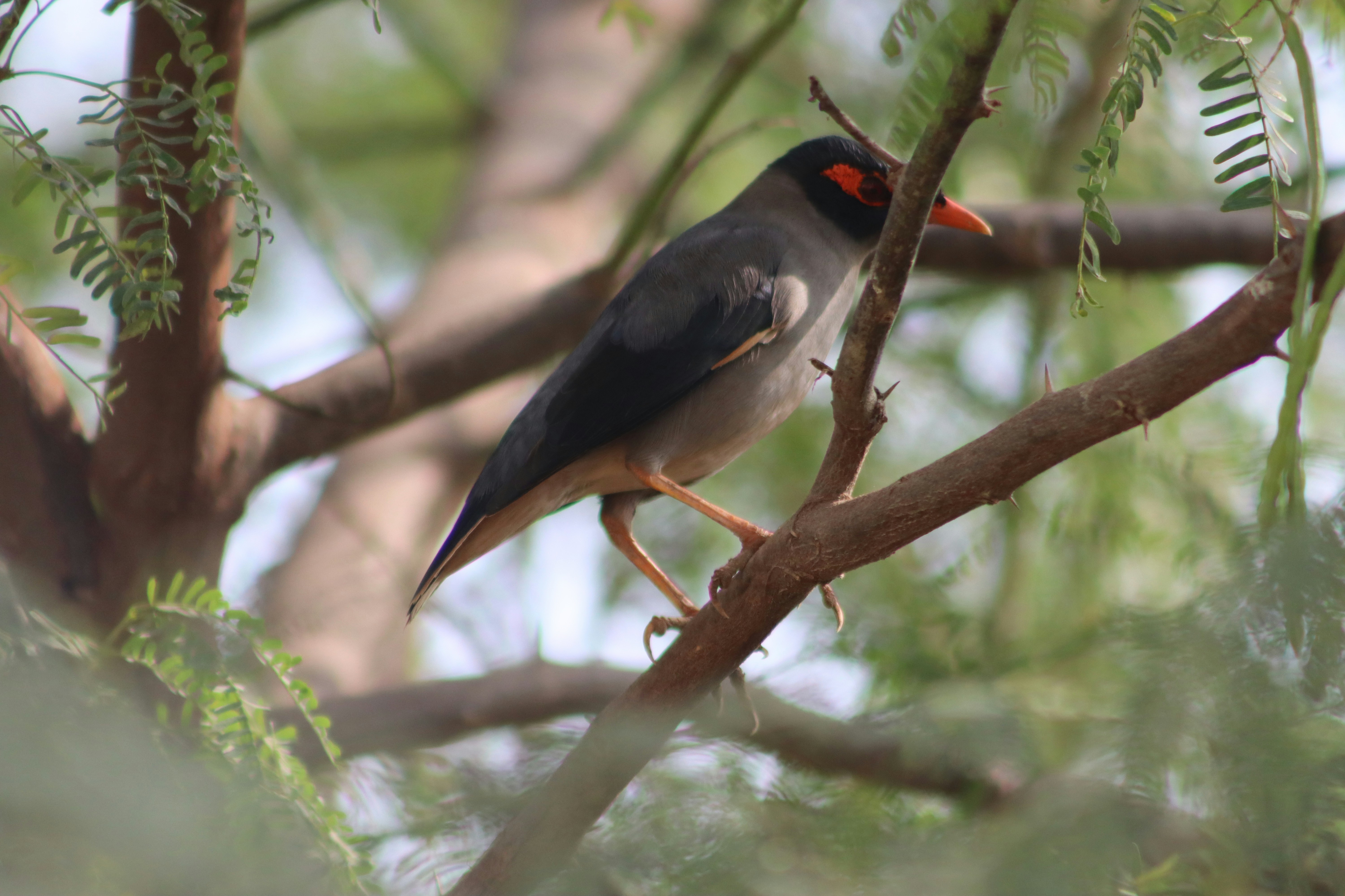 Photo by drphotographer152