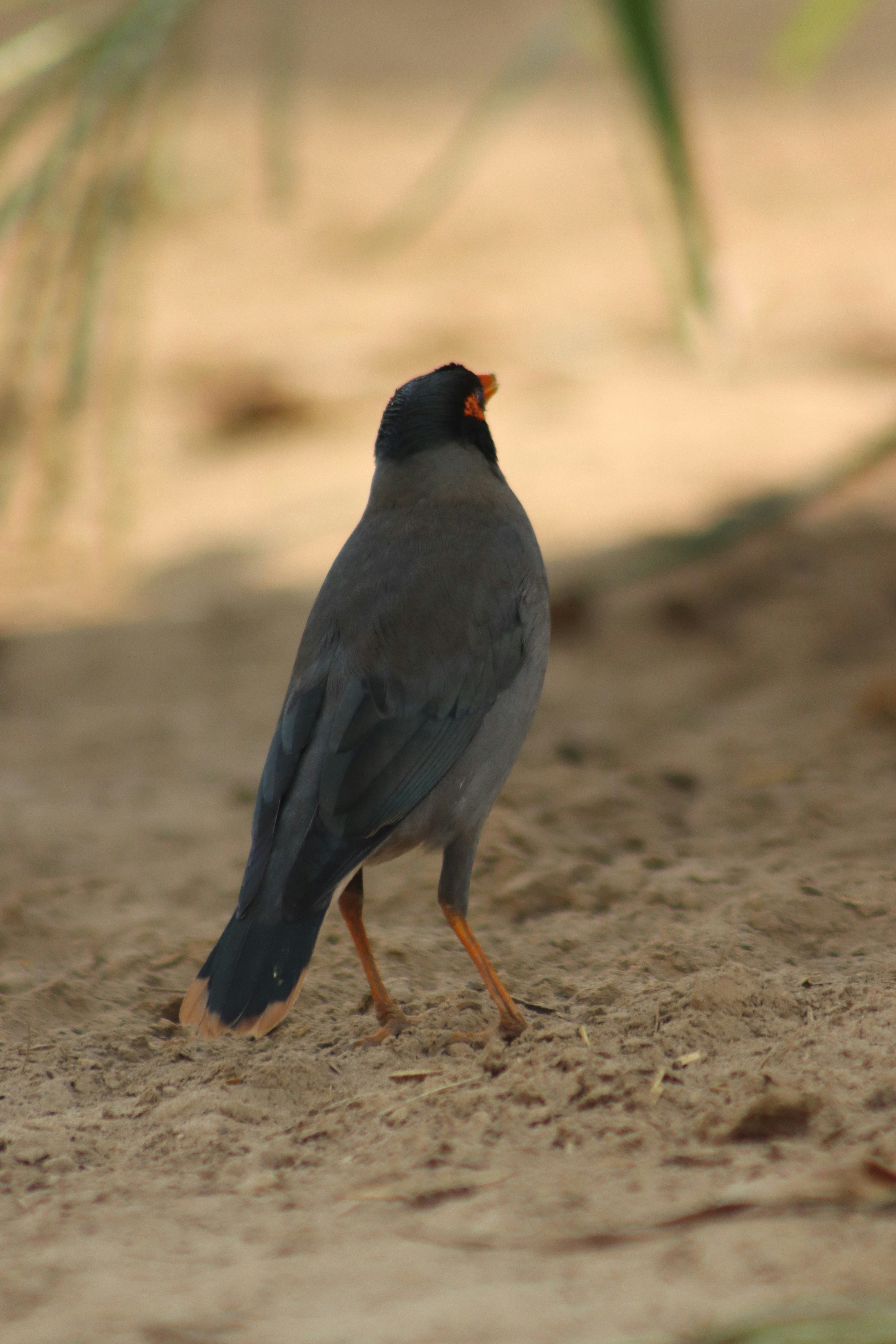 Photo by drphotographer152