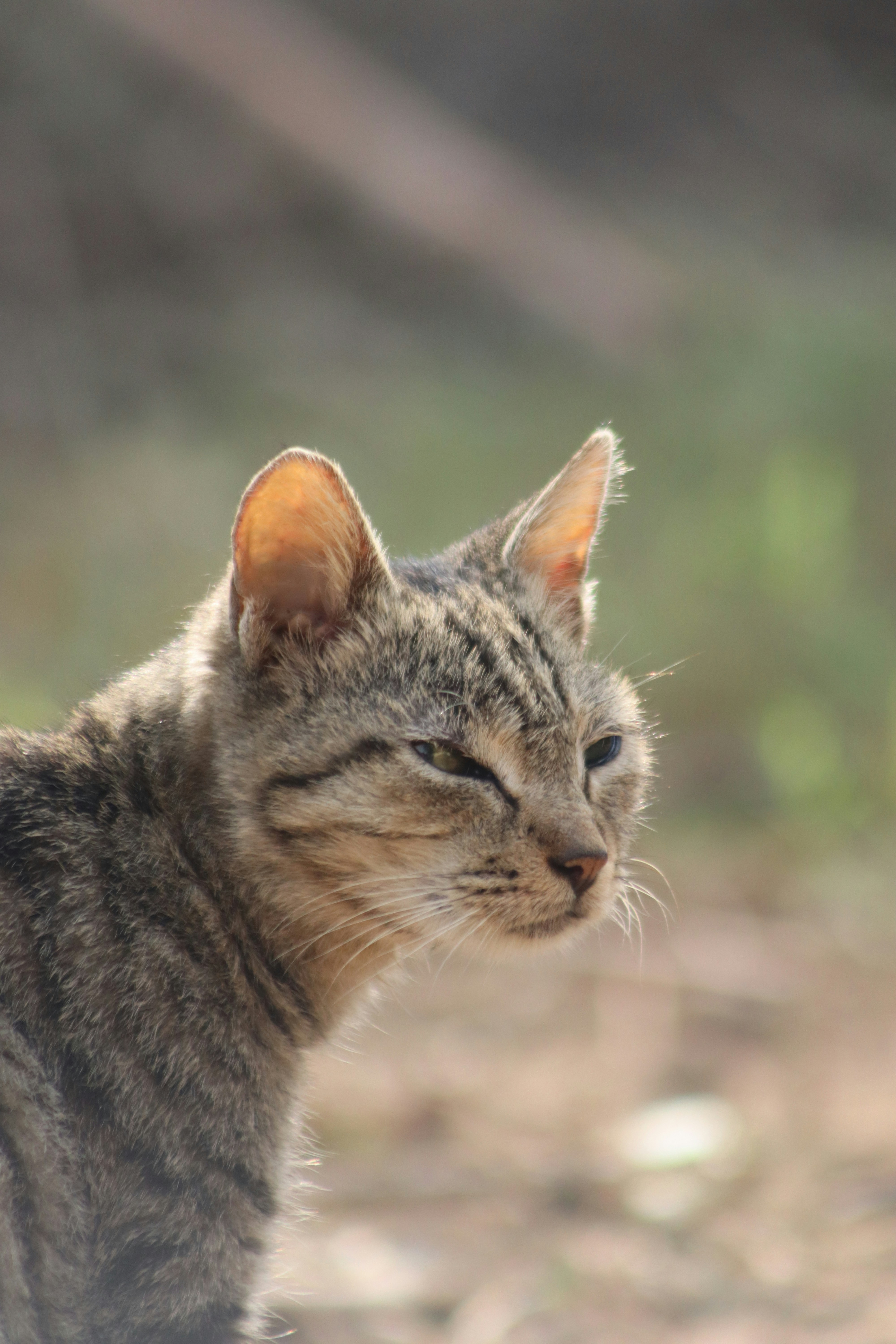 Photo by drphotographer152