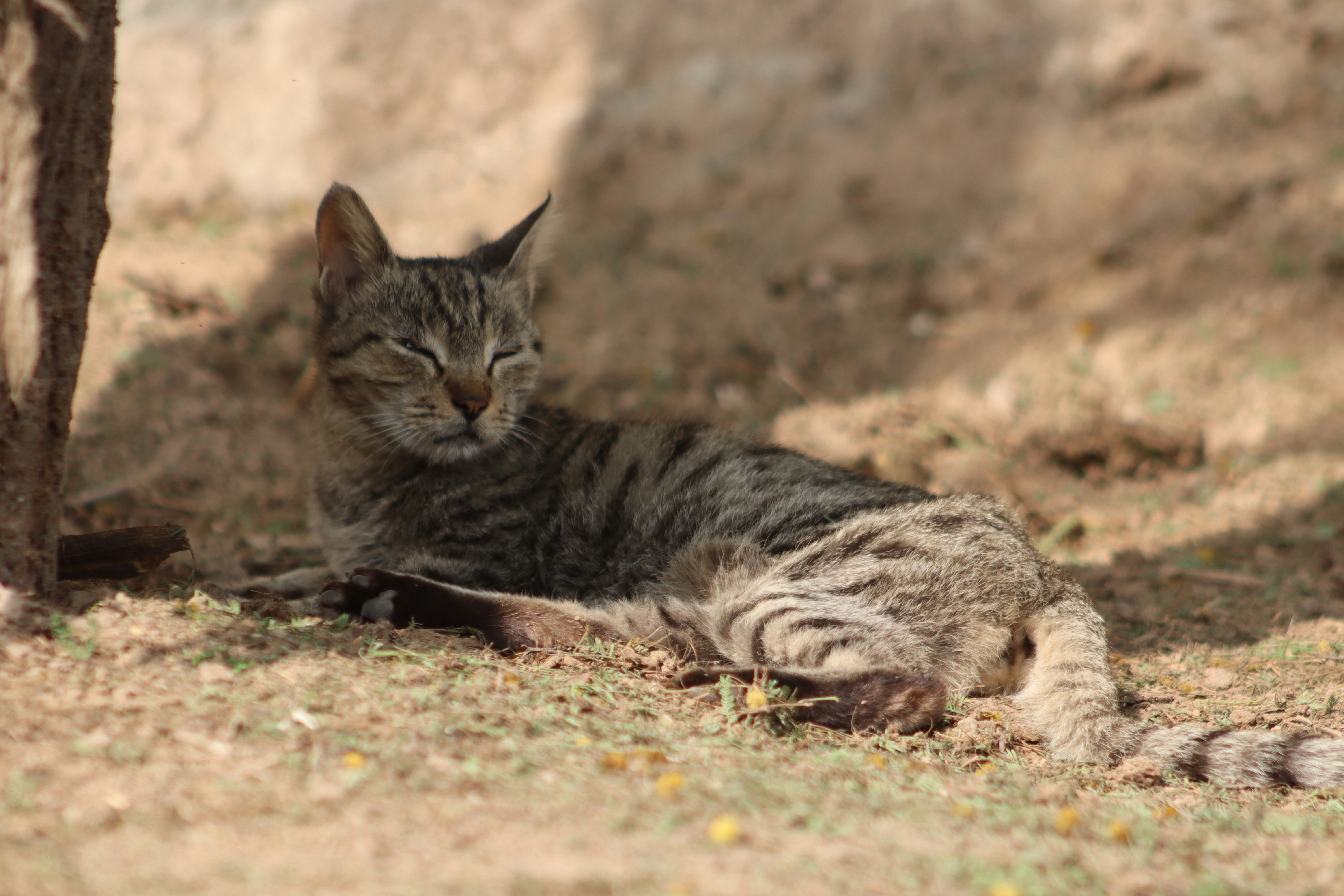 Photo by drphotographer152