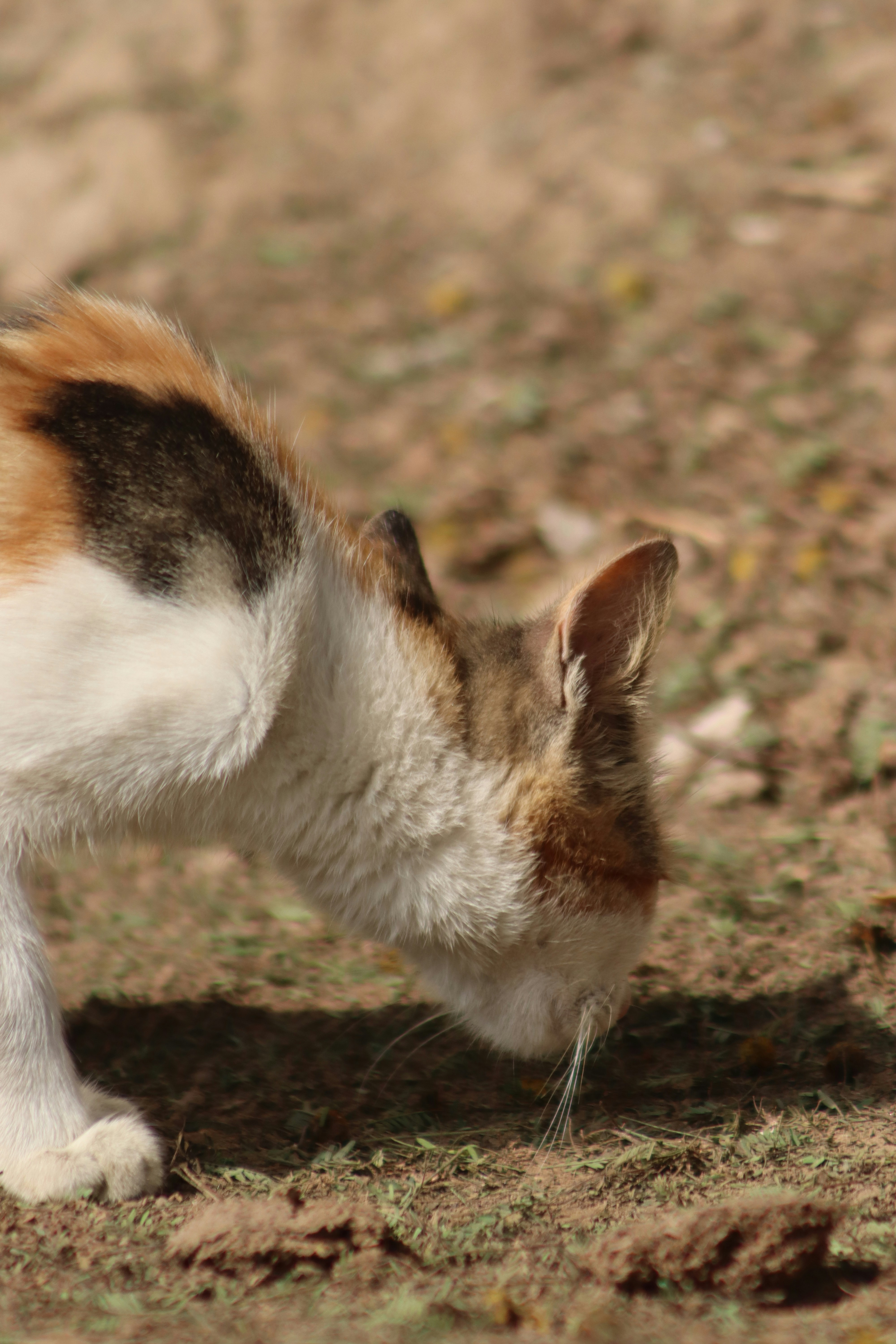 Photo by drphotographer152