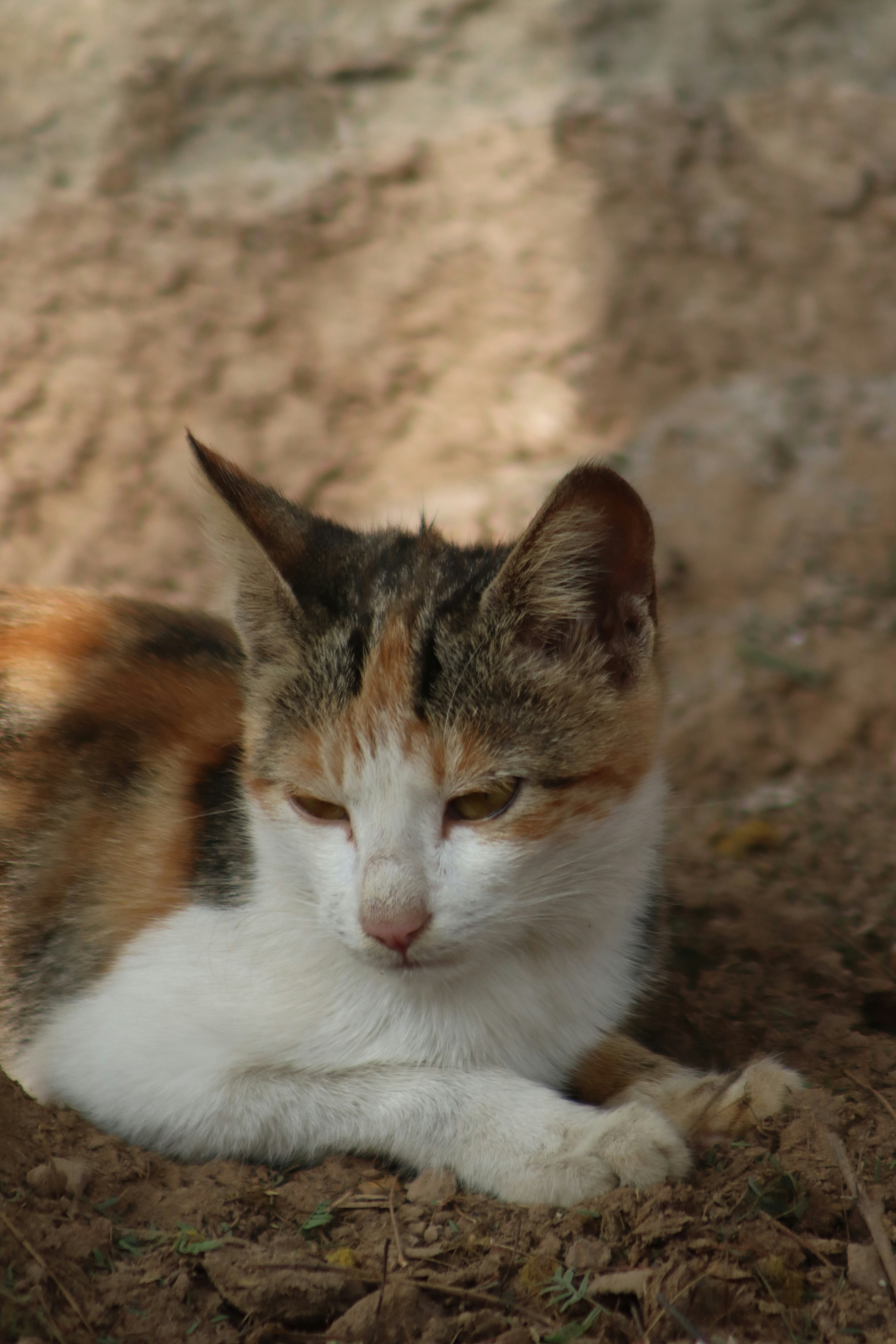 Photo by drphotographer152