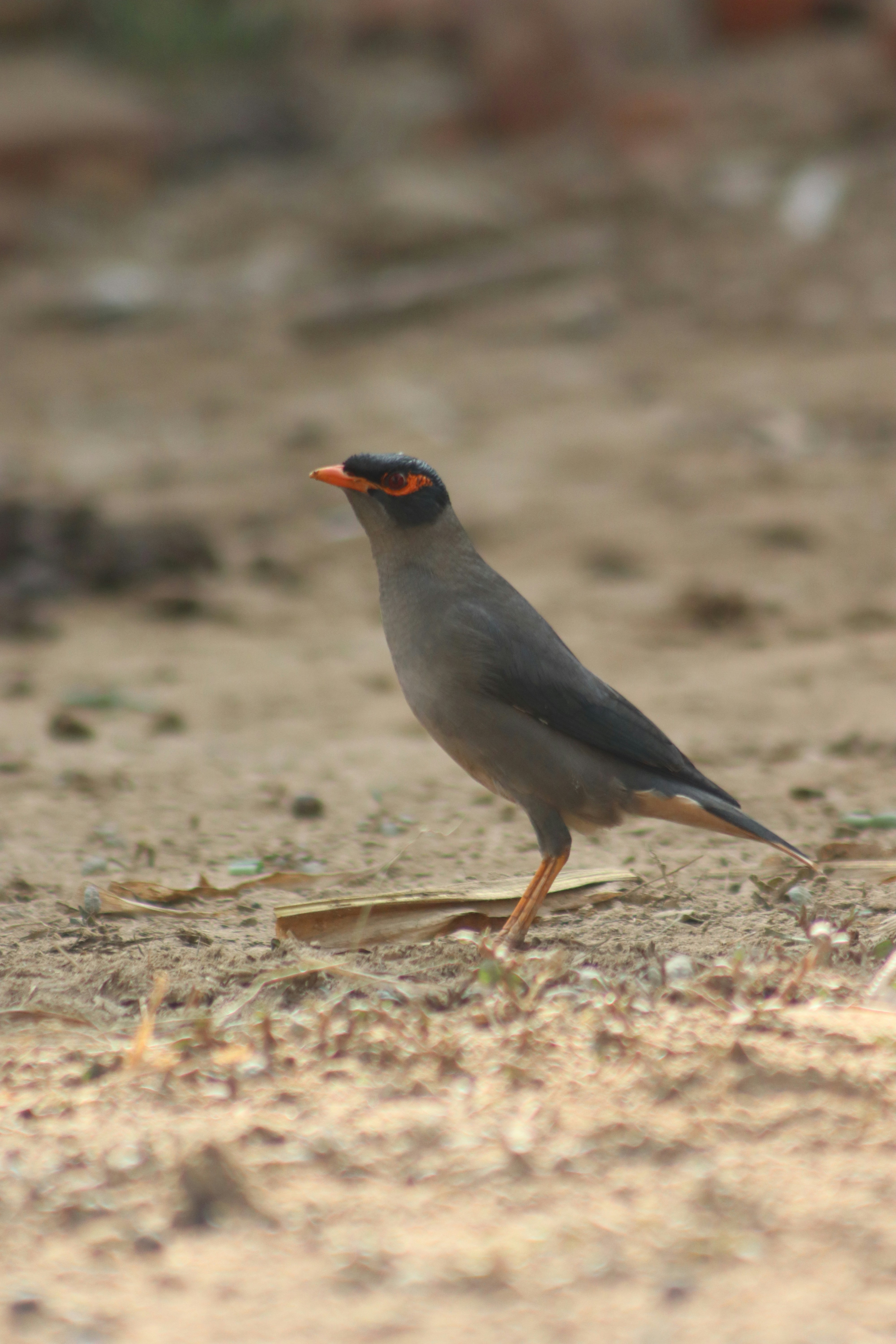 Photo by drphotographer152