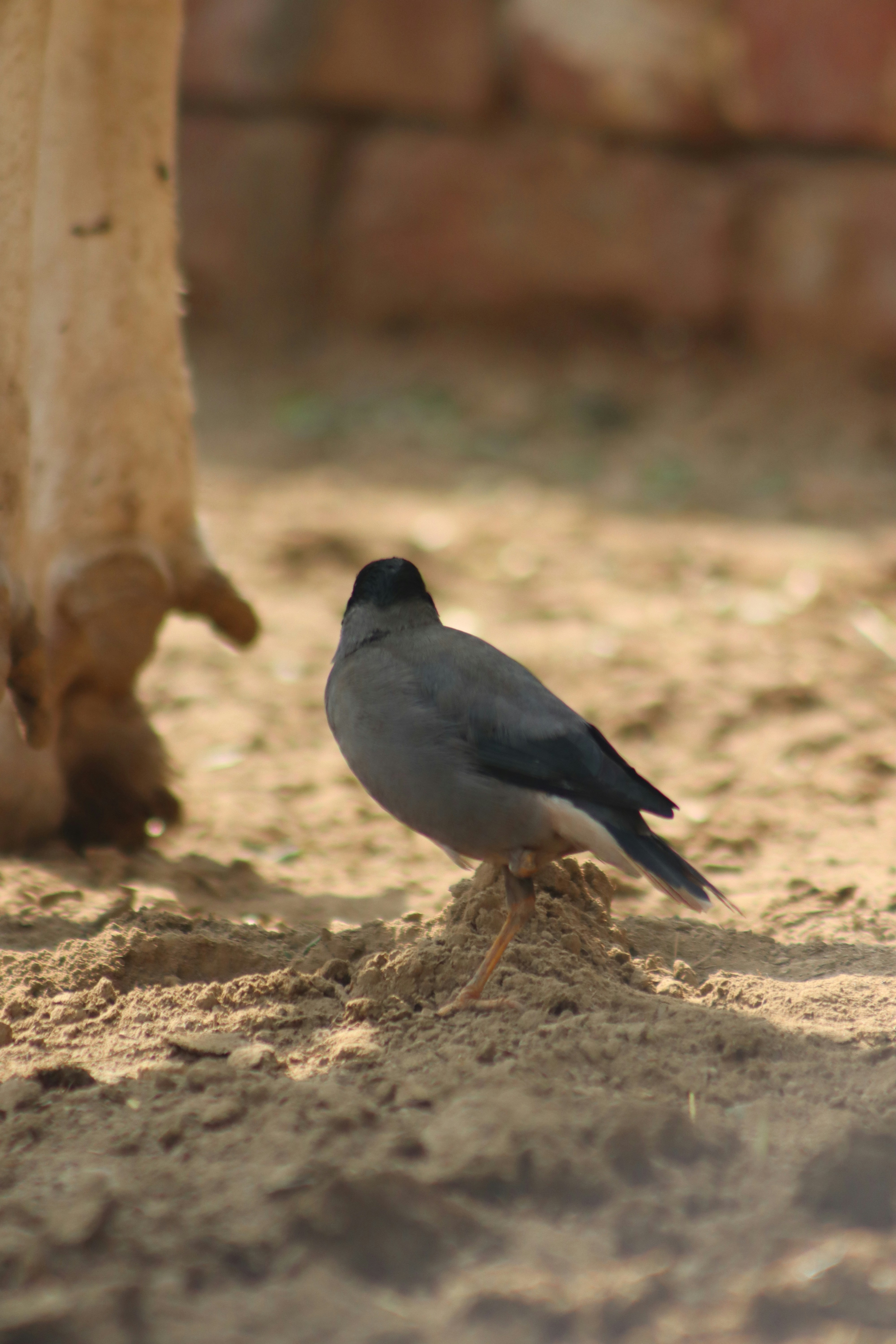 Photo by drphotographer152