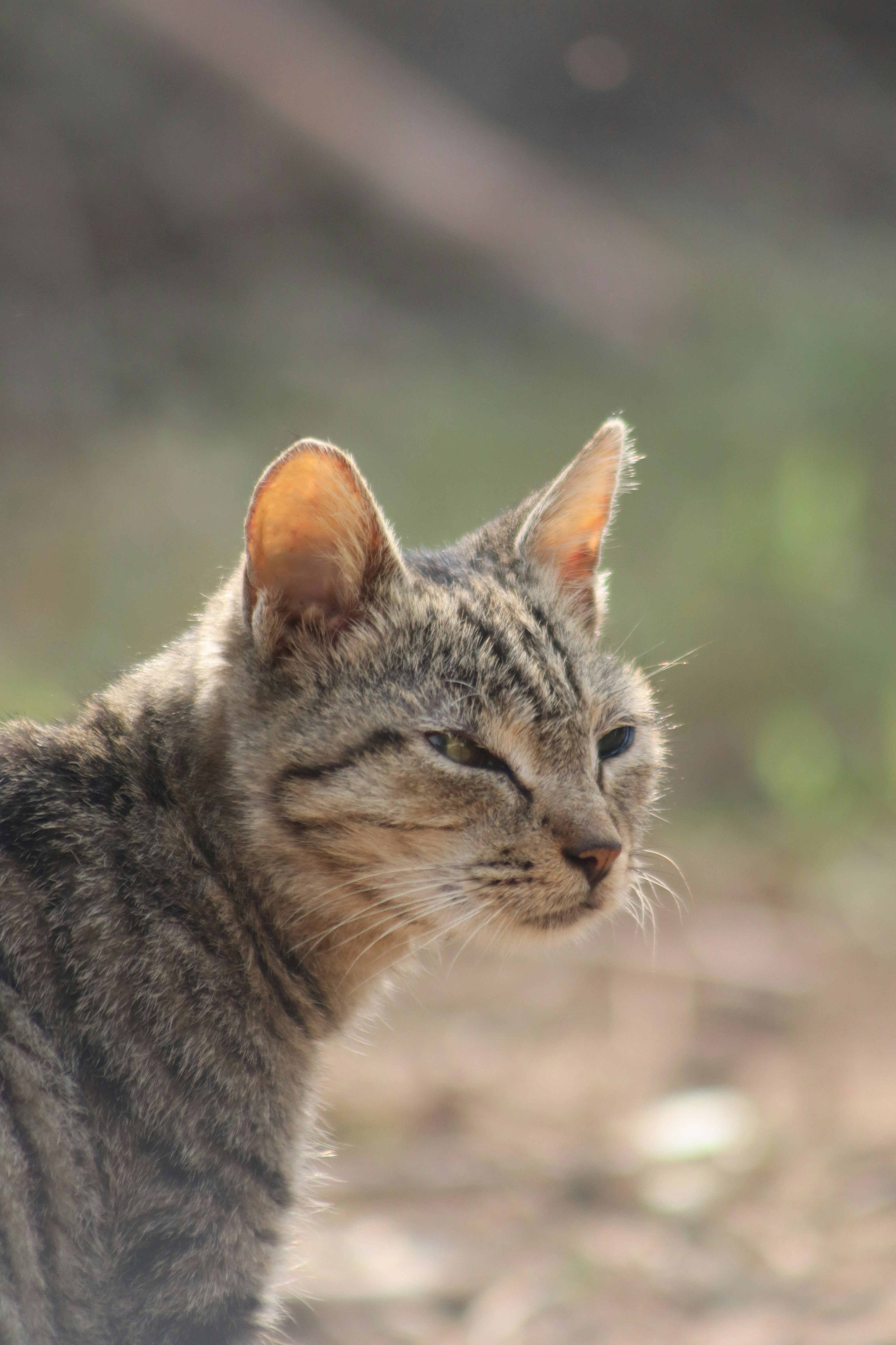 Photo by drphotographer152