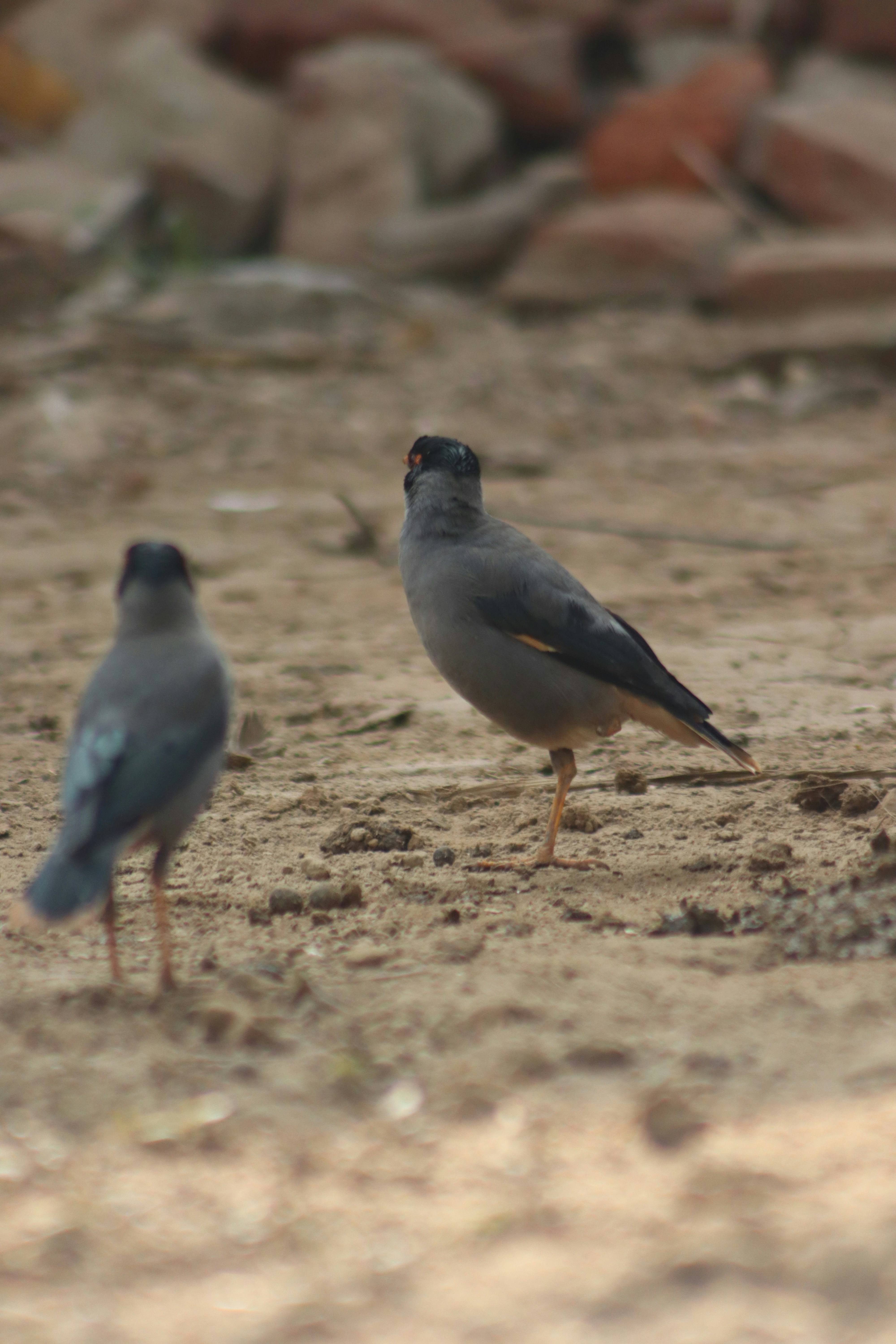 Photo by drphotographer152