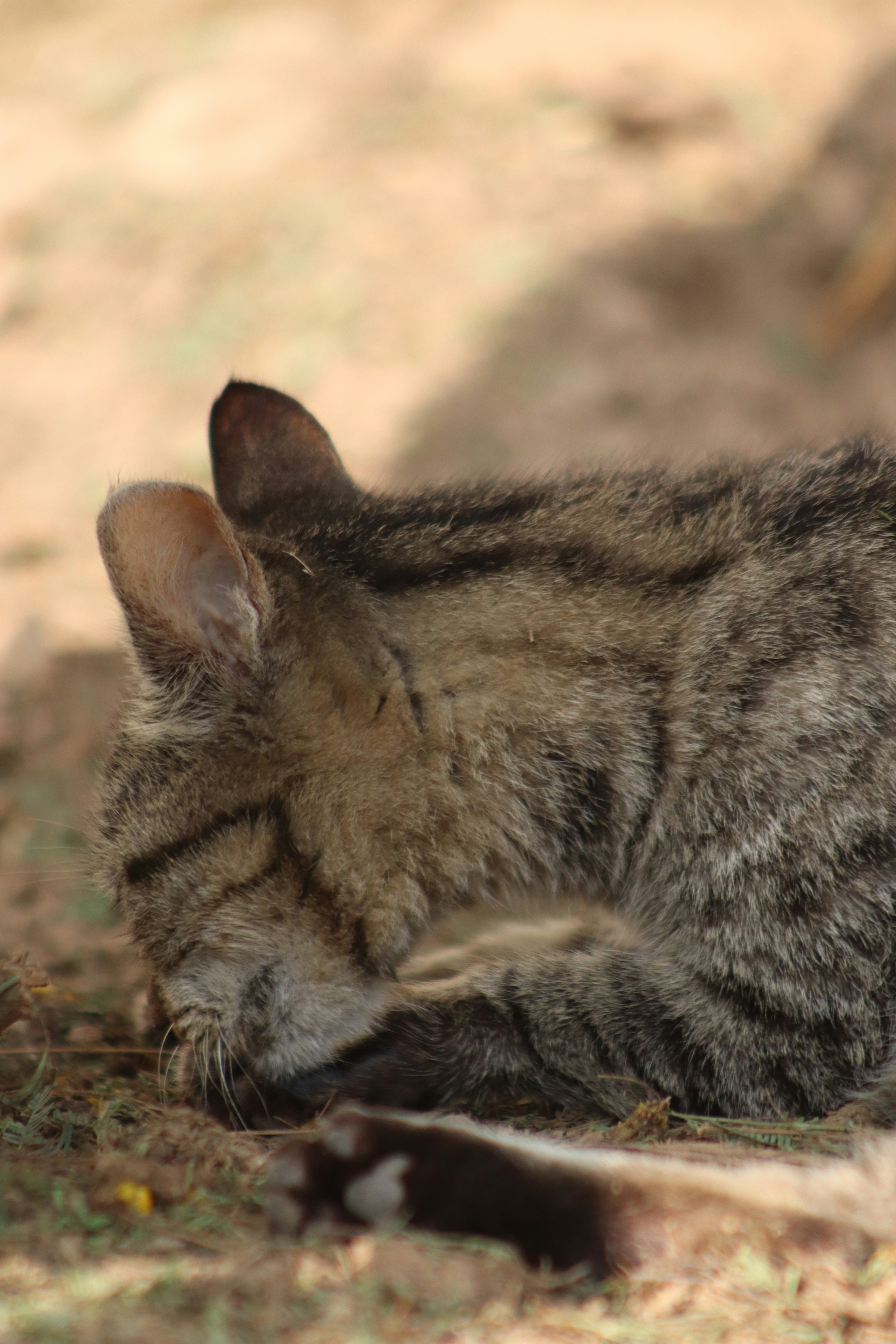 Photo by drphotographer152